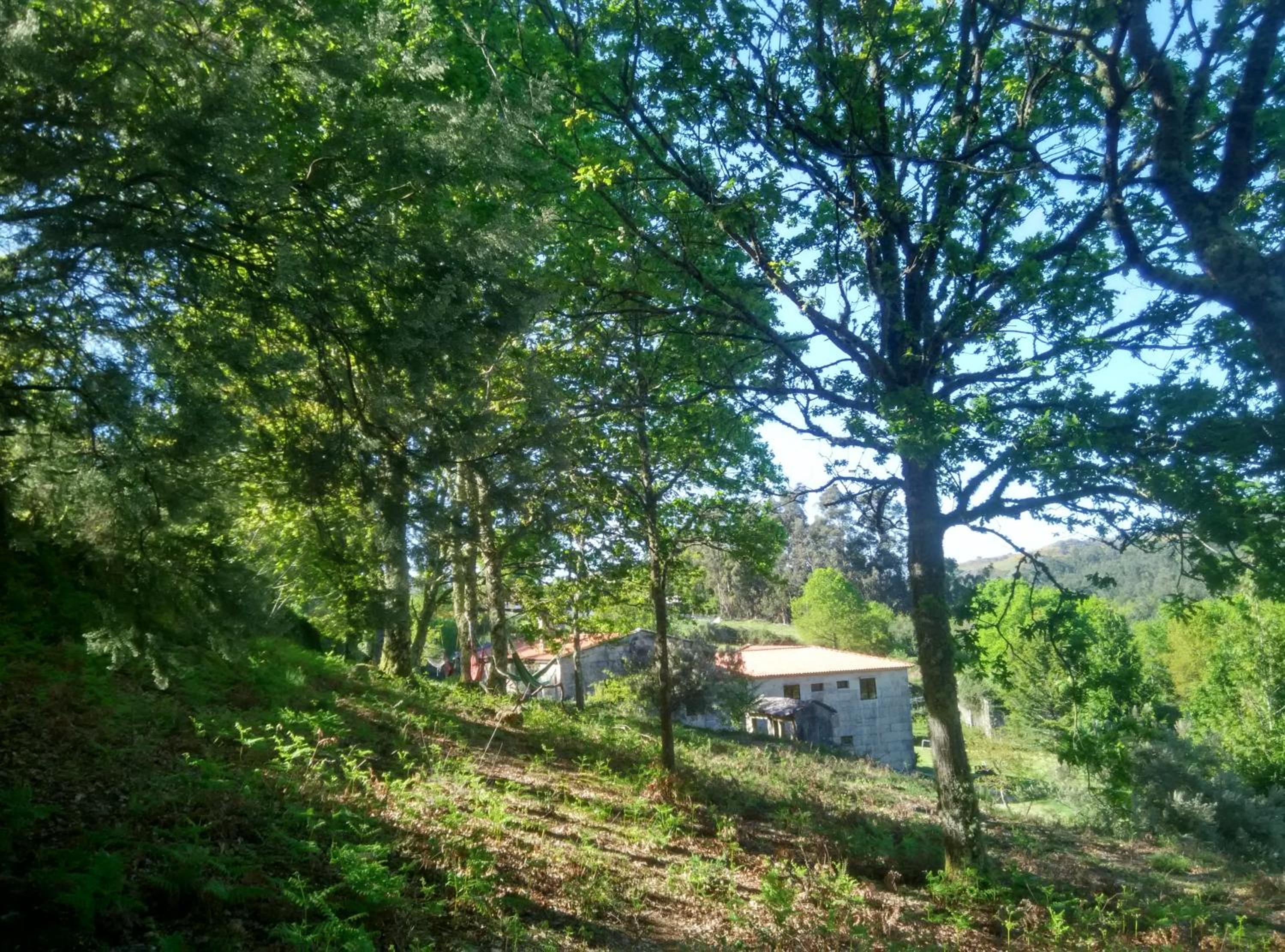 Casa D'Agosto