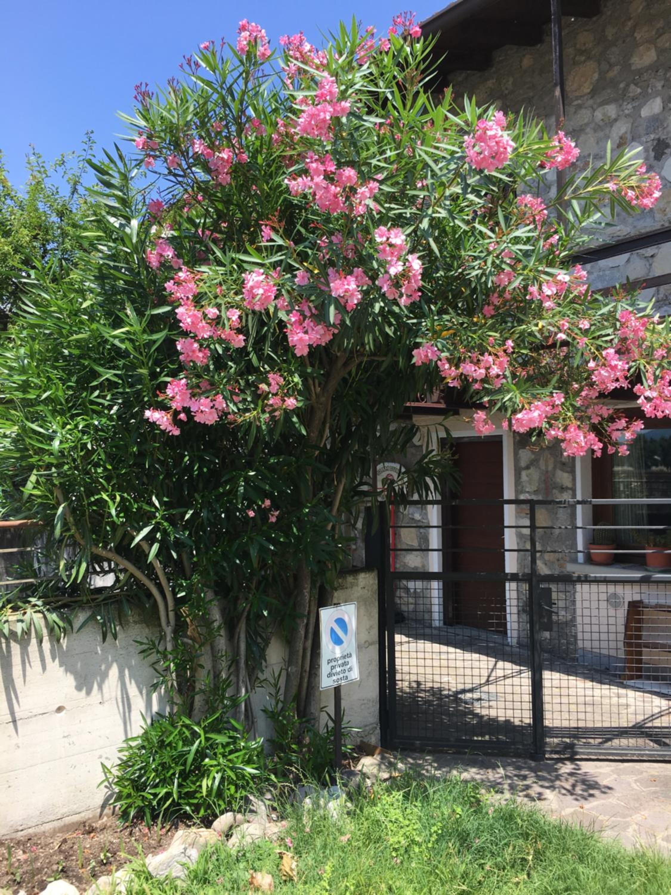 Antica Casa Fenaroli