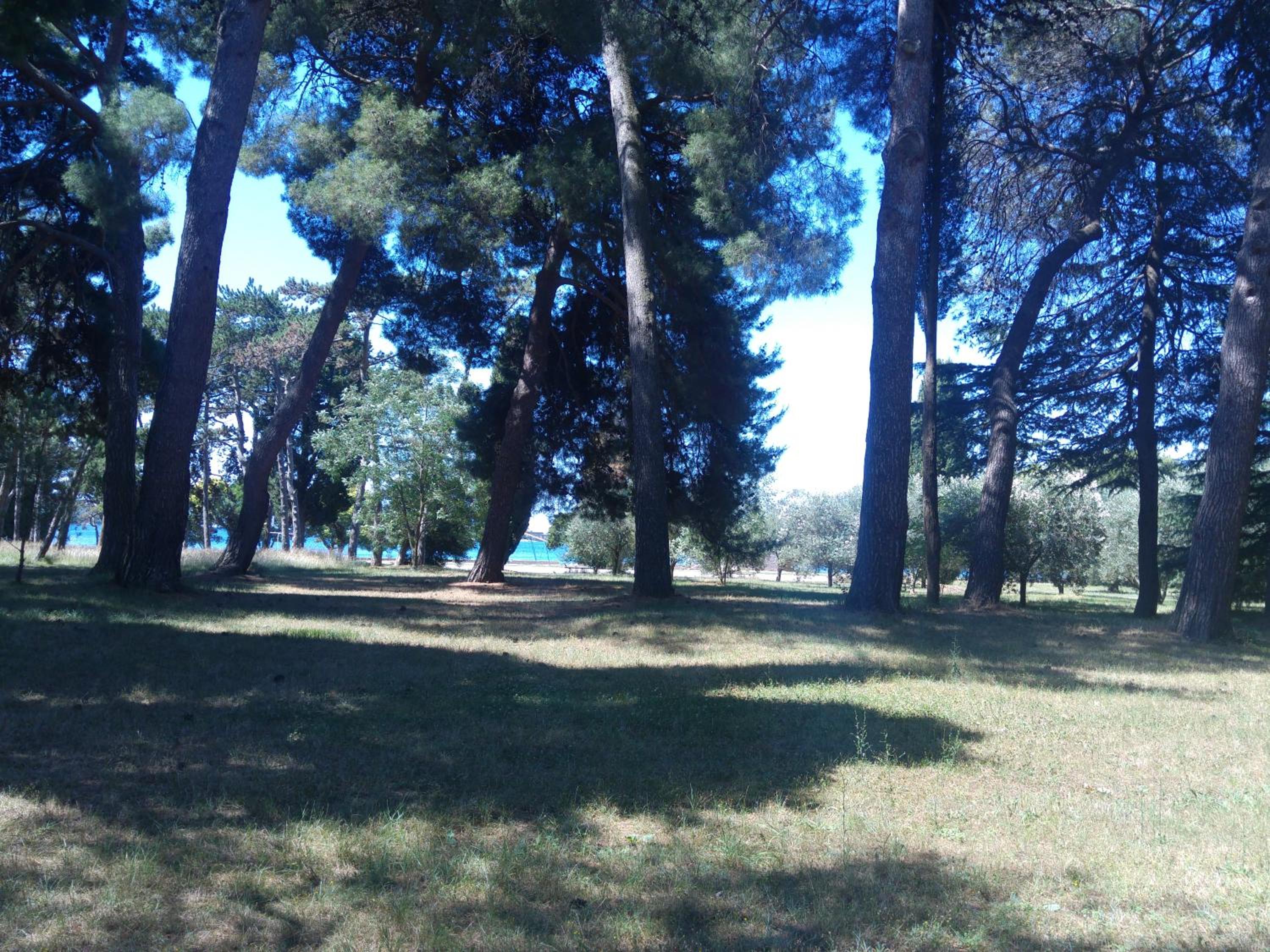 Photo 38