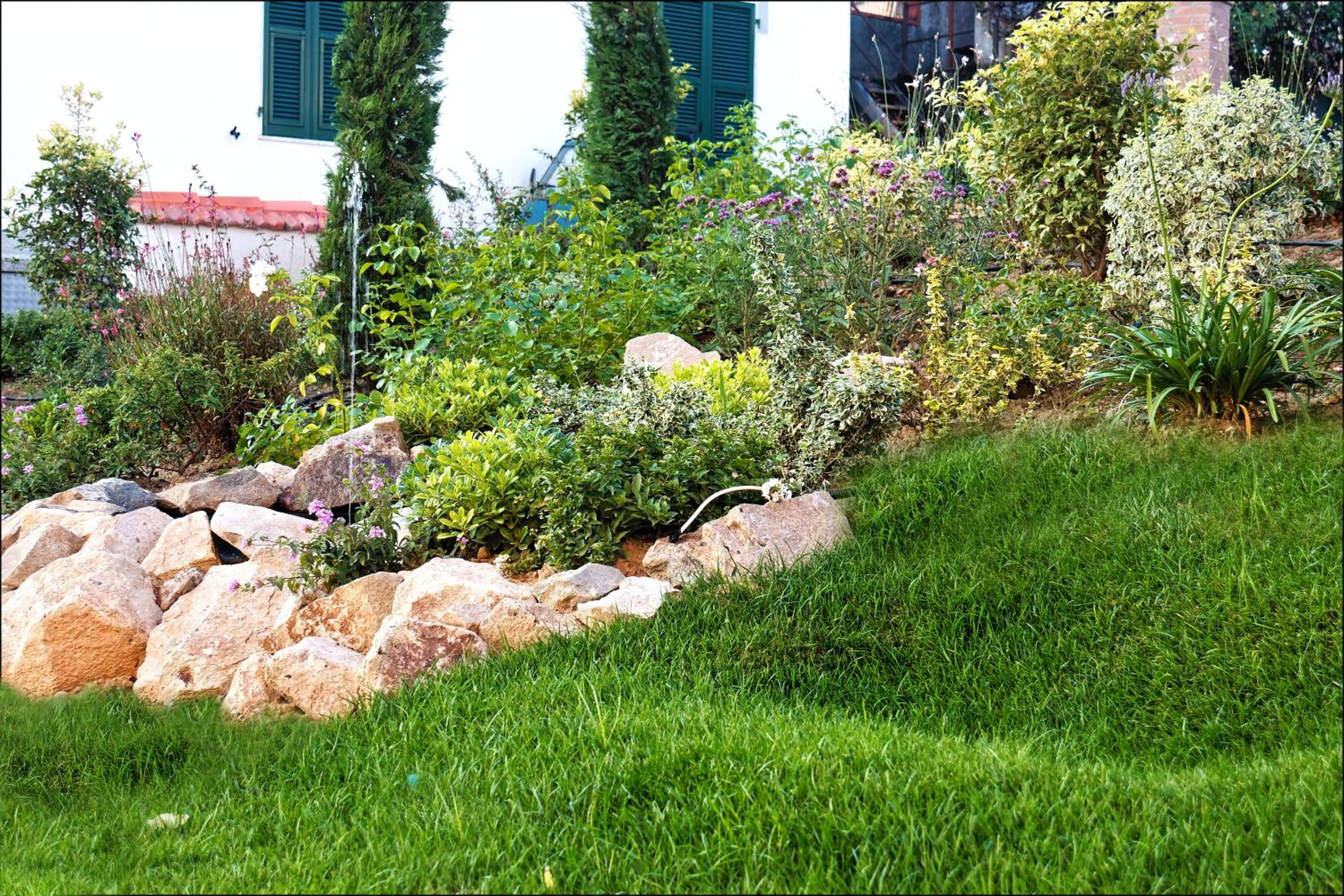 Photo 46