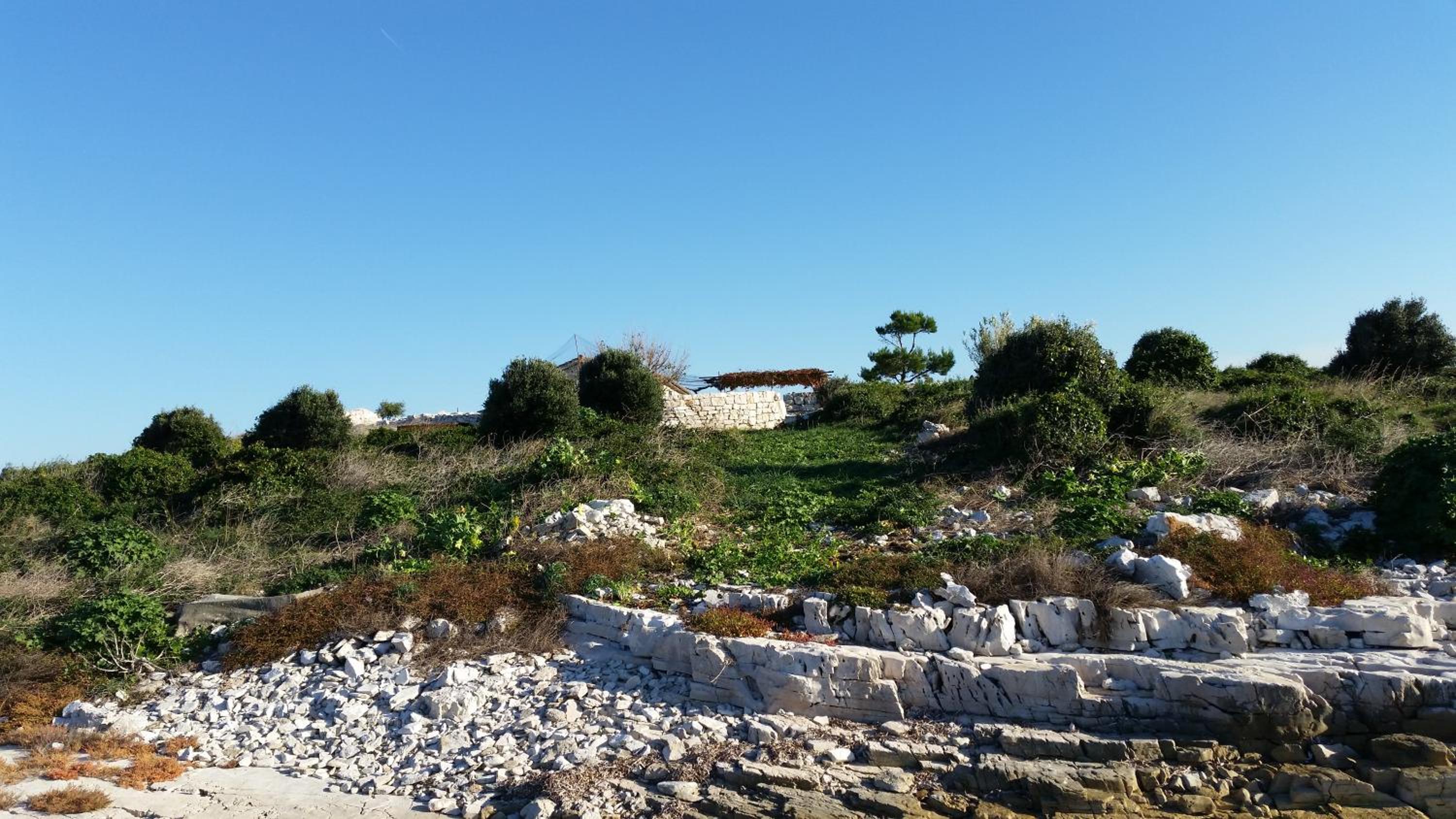 Kuća za odmor Island just for You - Ravna Sika