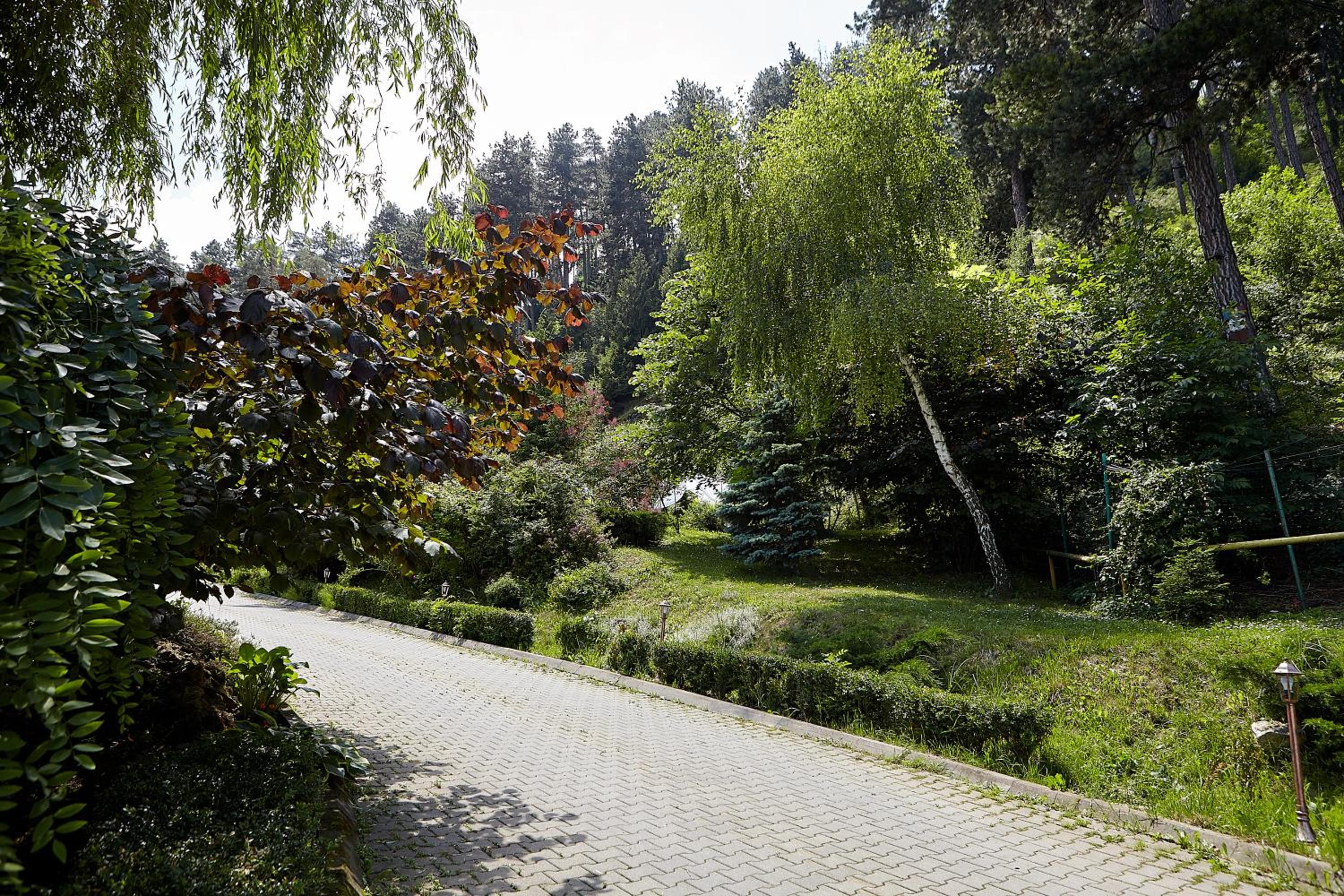 BellaVista Brasov