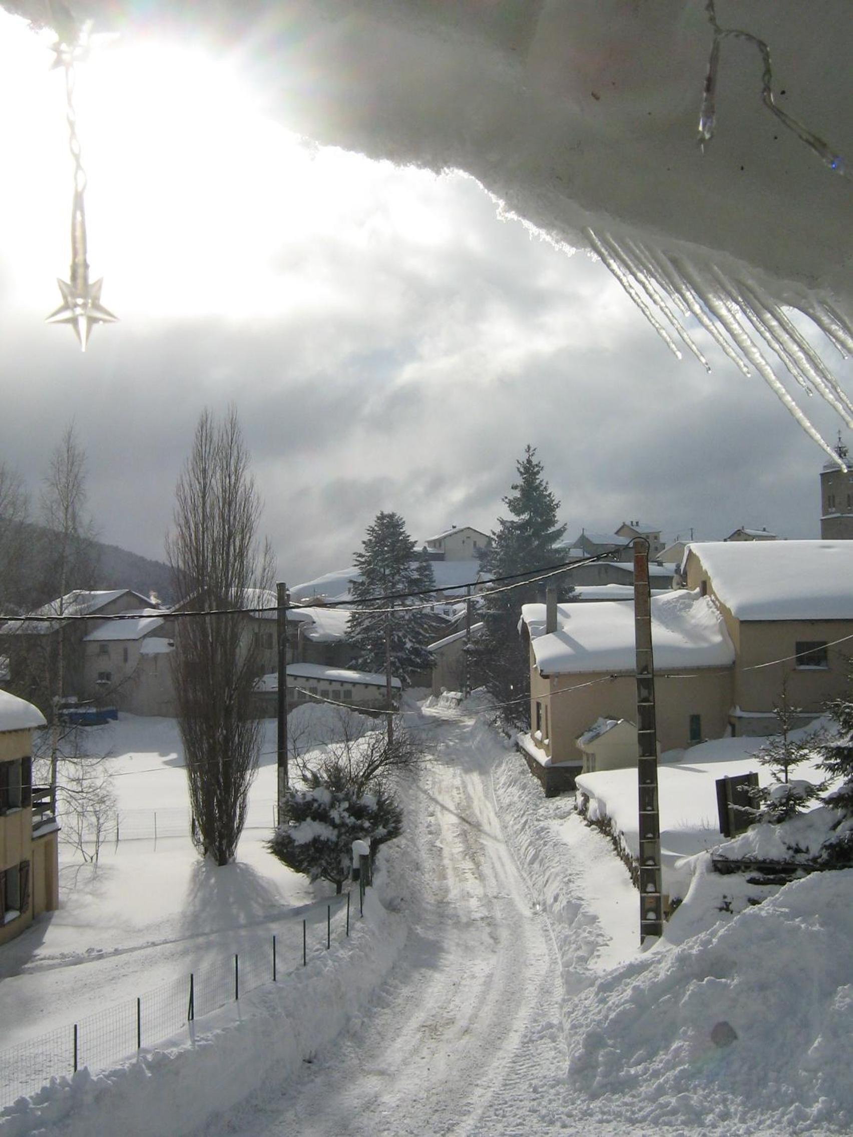Photo 44