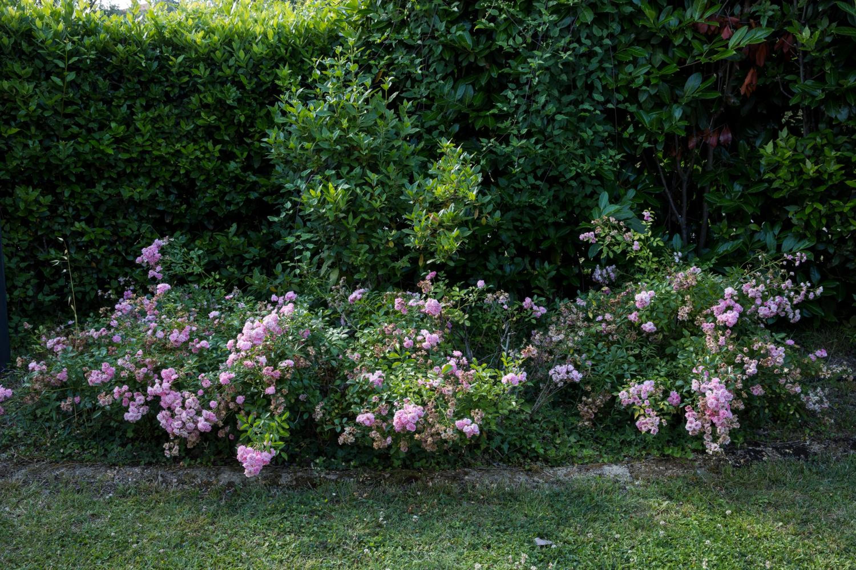 Appartamenti Residence Montebello, relax con giardino e piscina