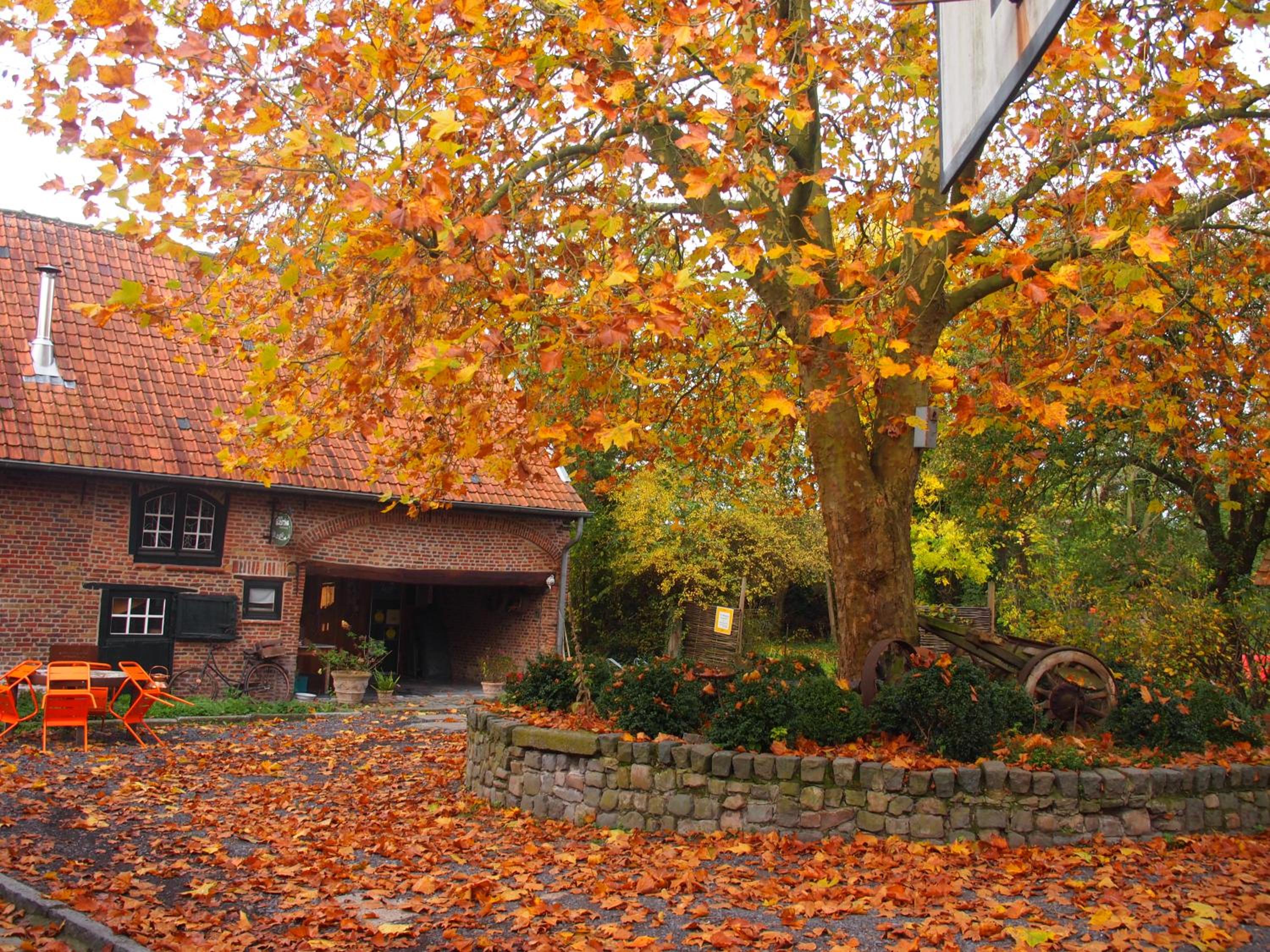 Grote Goesting holiday house