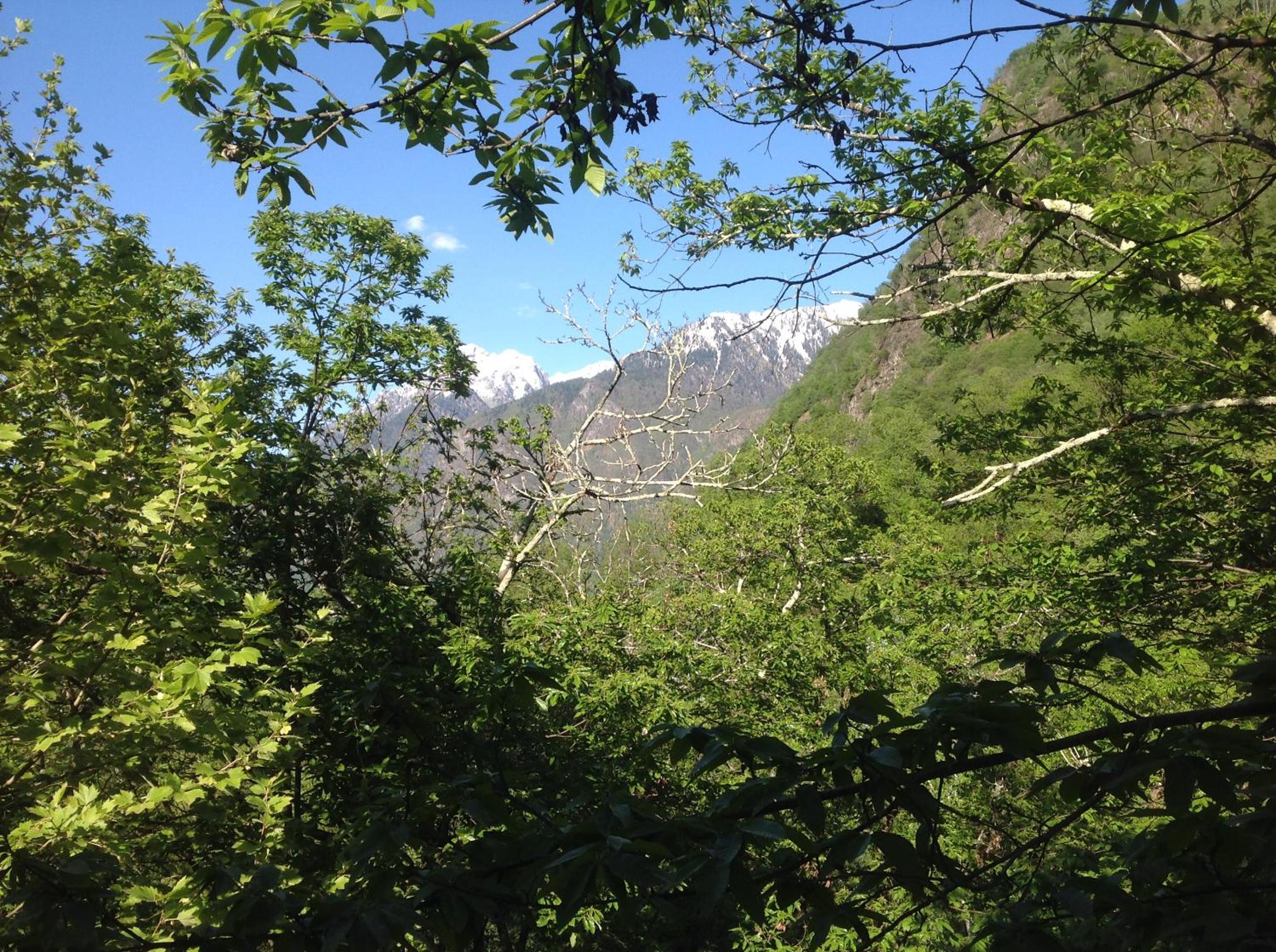 Grotto Zendralli