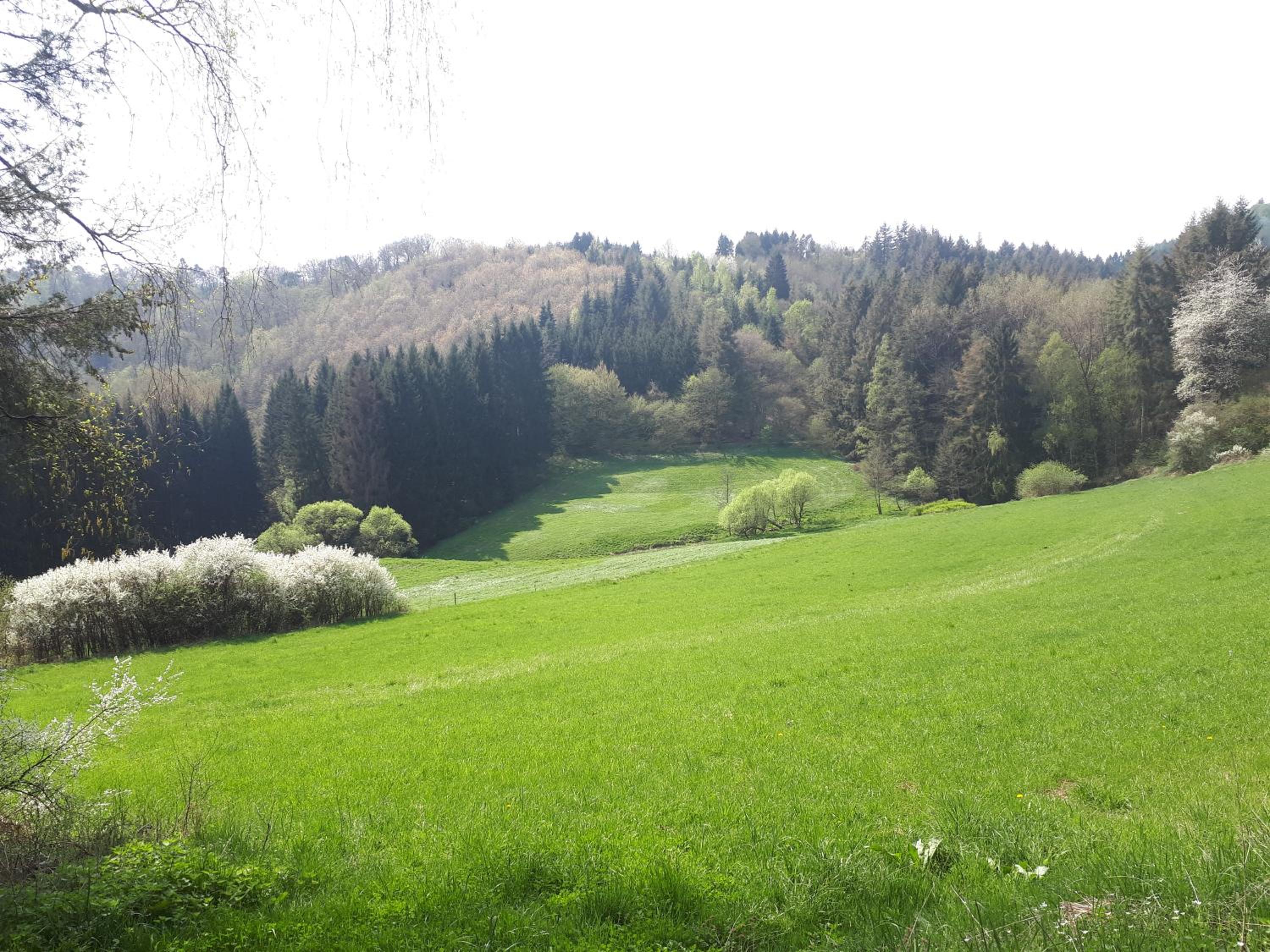 Herberg Die alte Schleuse