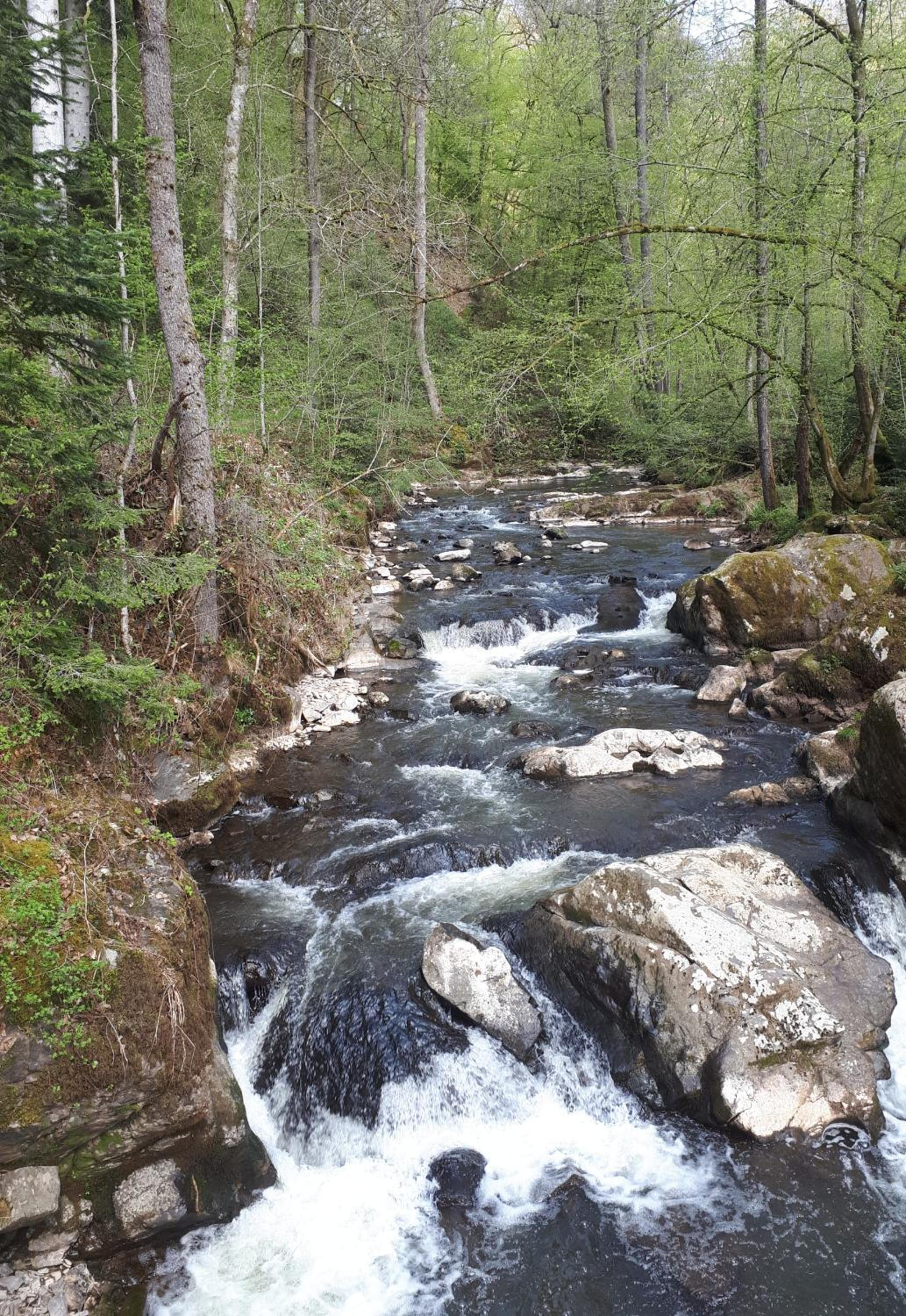 Herberg Die alte Schleuse