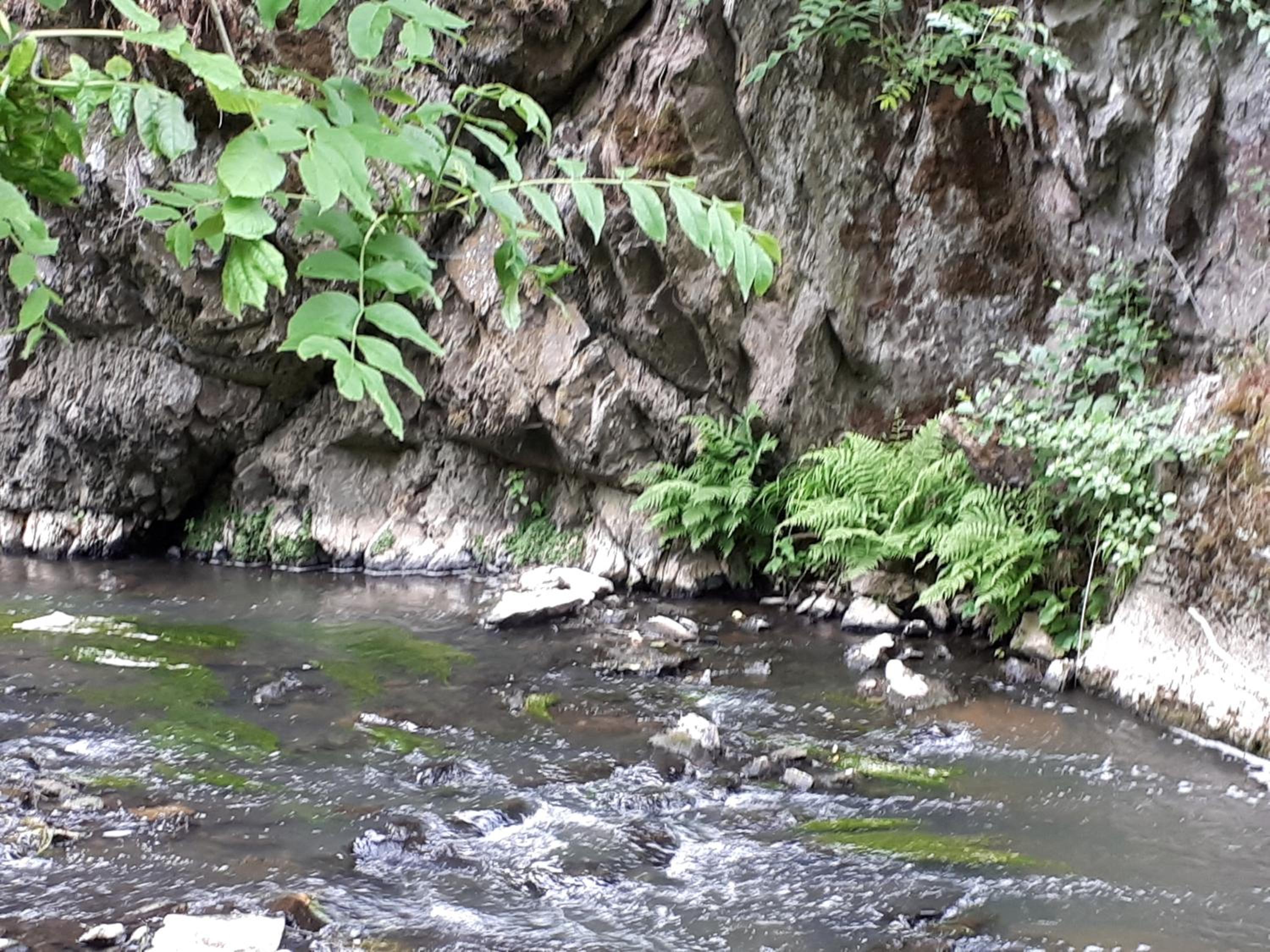 Herberg Die alte Schleuse
