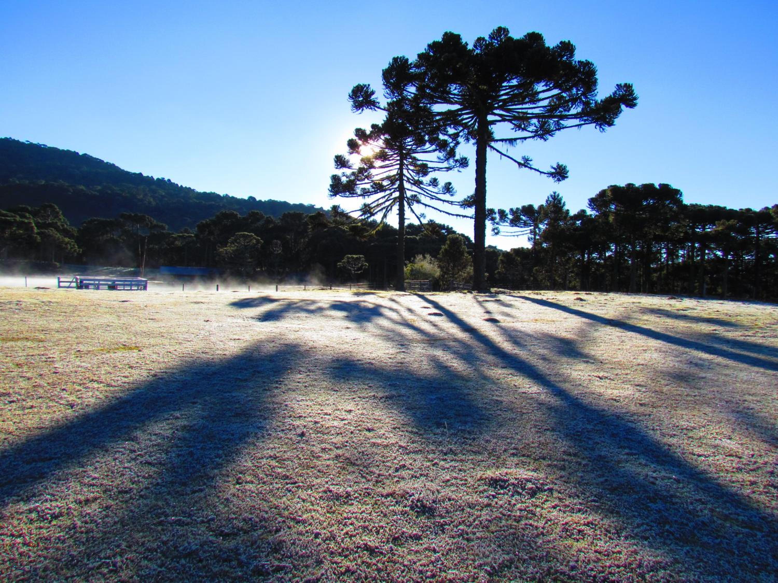 Fazenda Santa Rita Turismo Rural