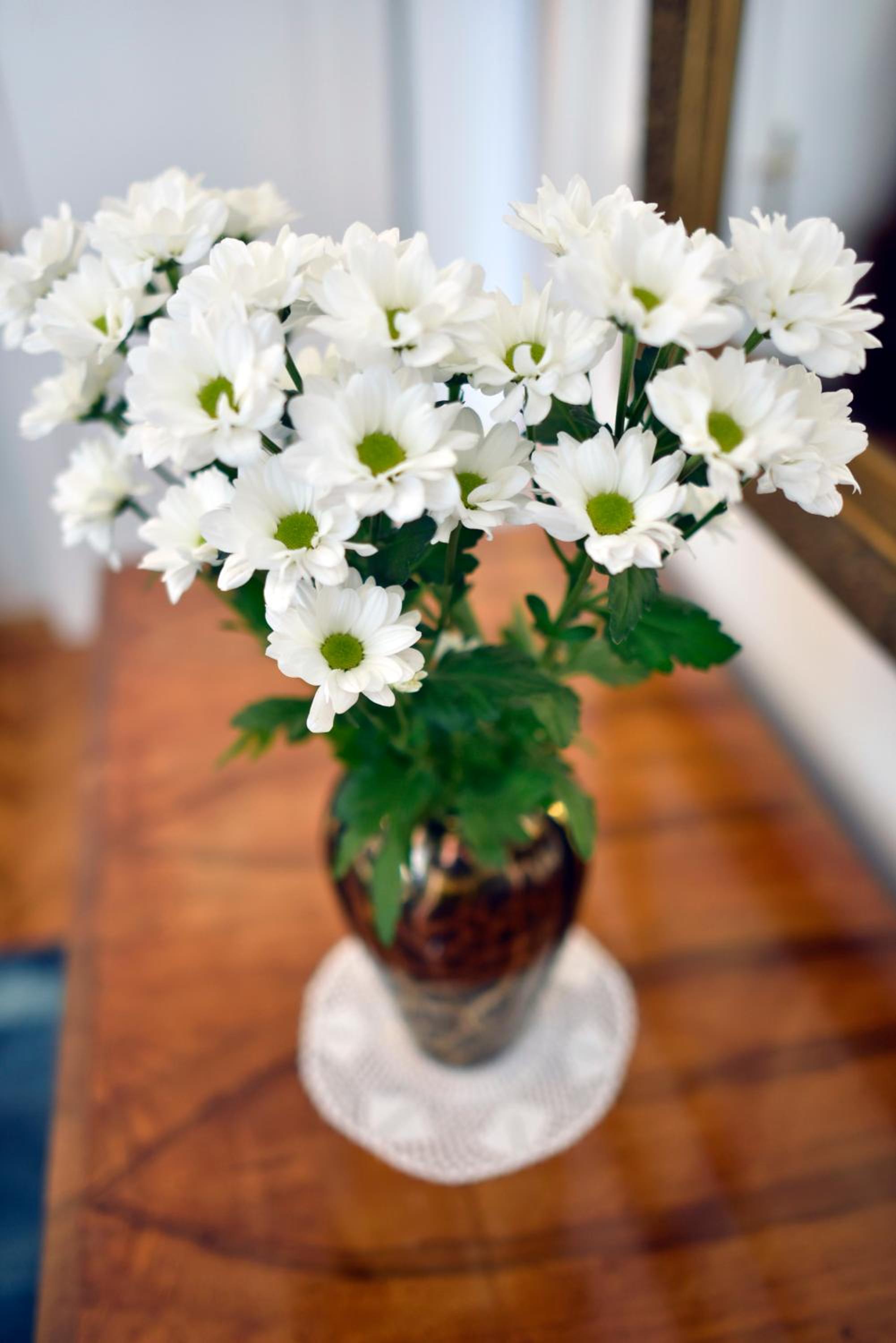 Favourite Apartments
