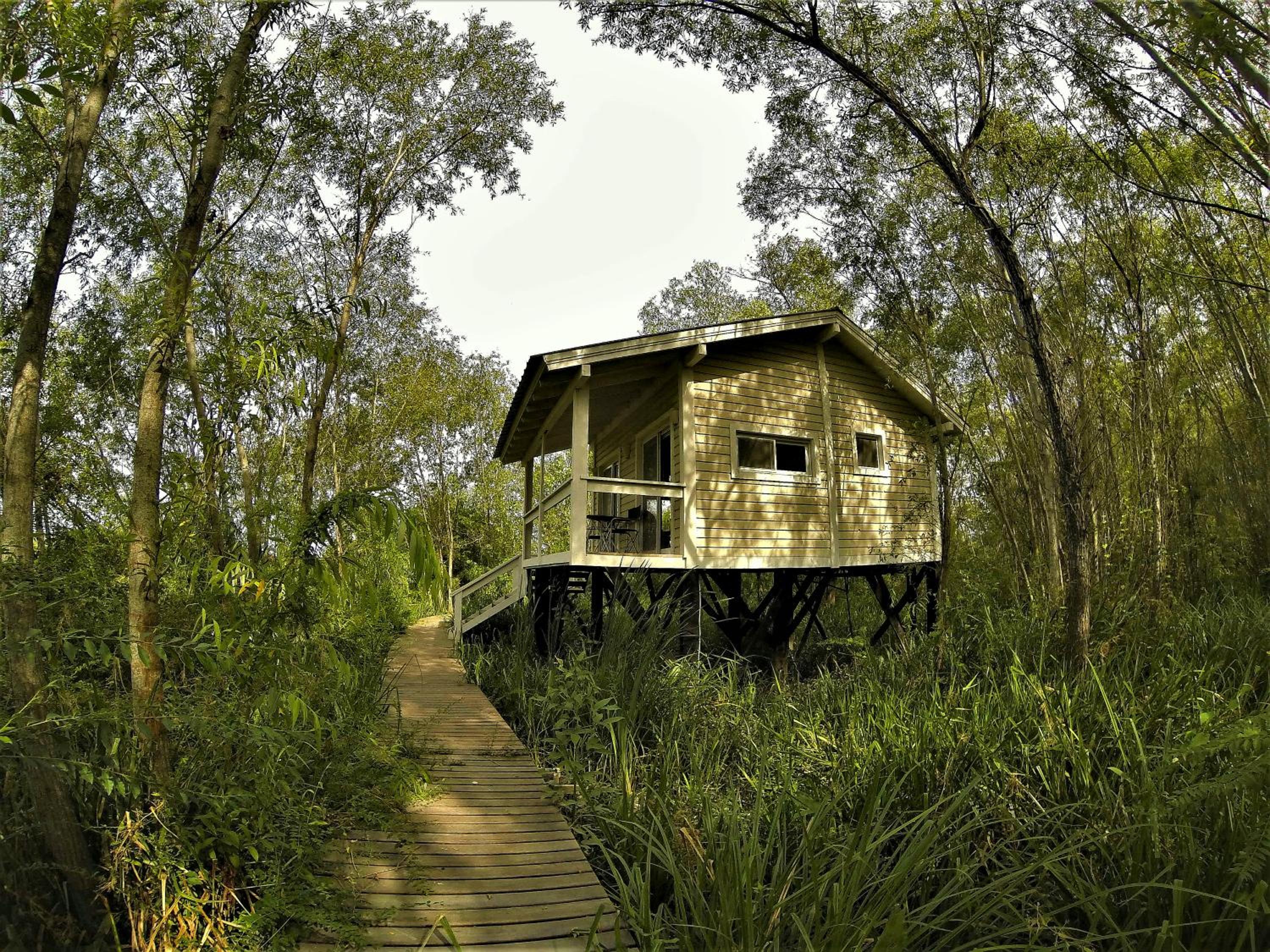 Bajos del Paraná