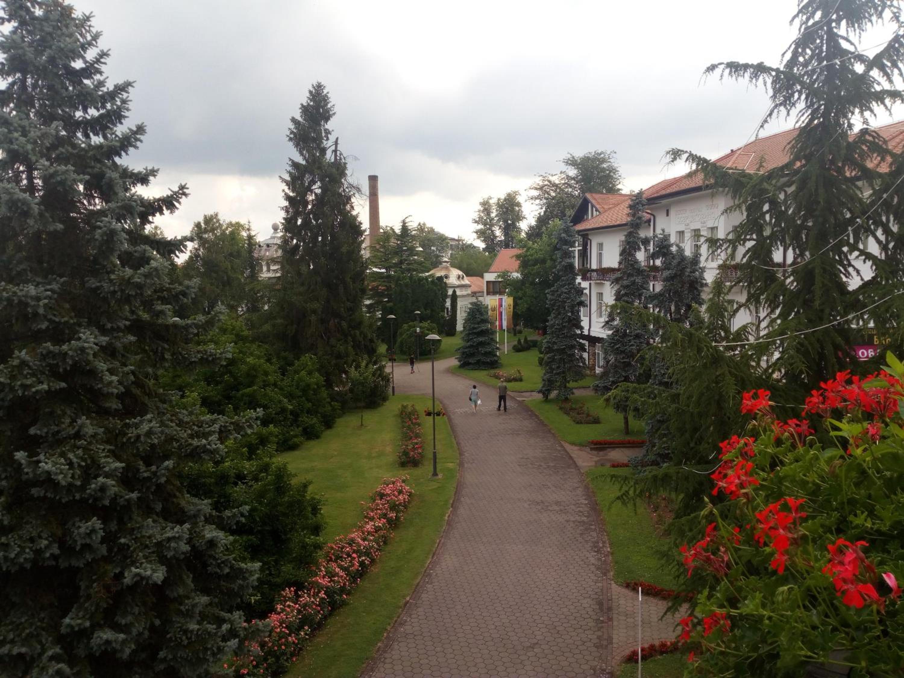 Photo 17