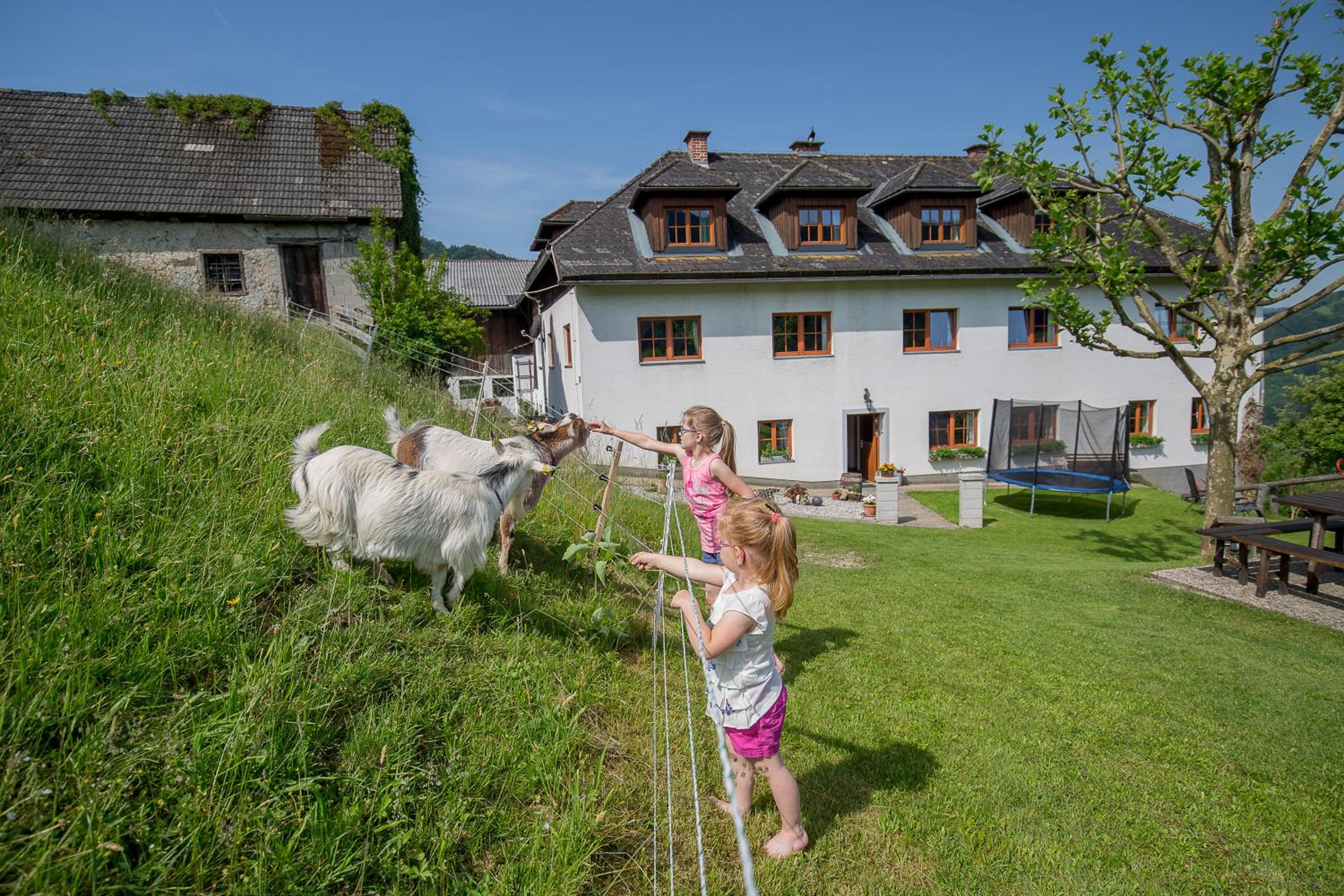 Kräuterhof Miesrigl
