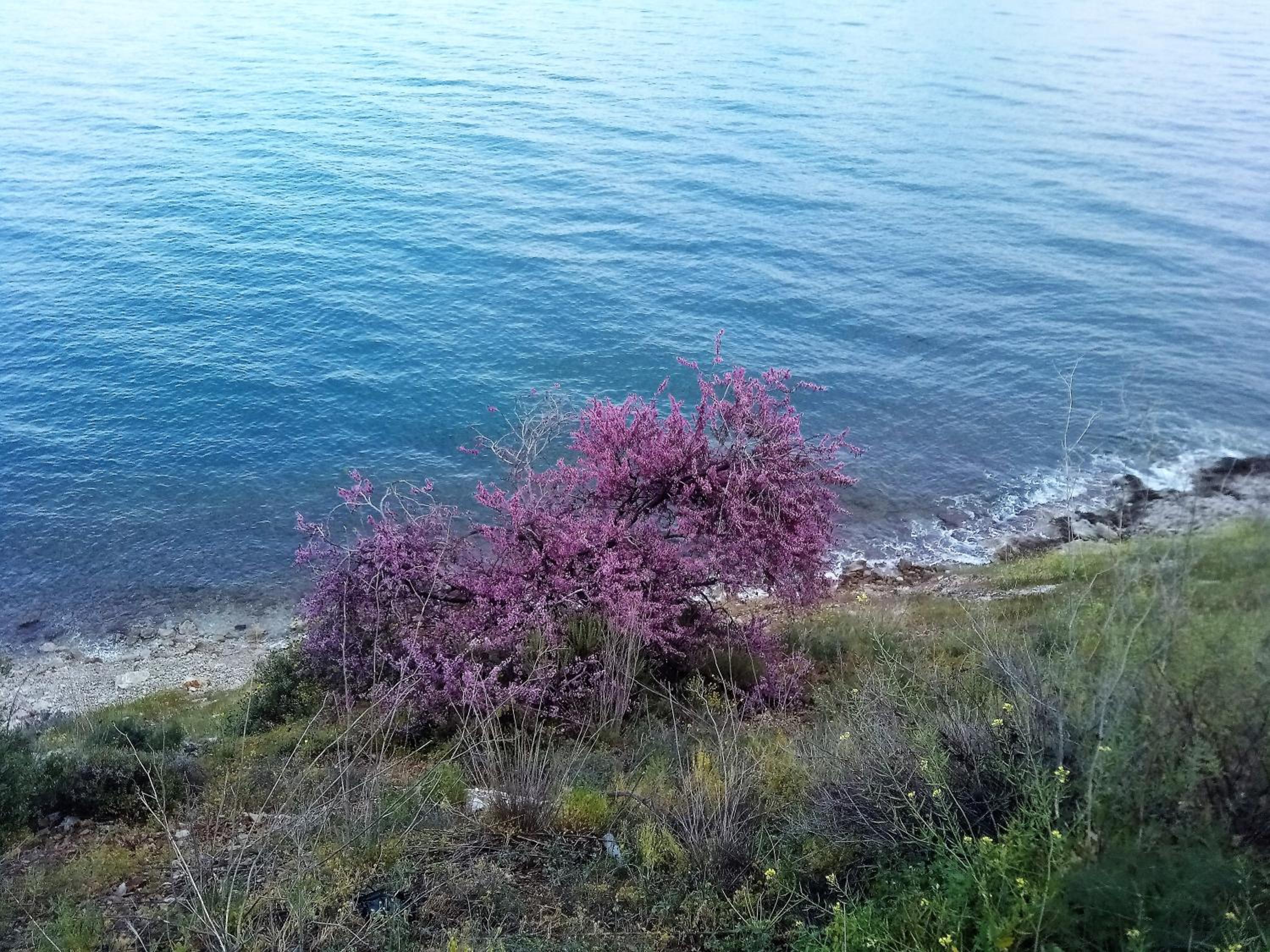 Kiveri Gems Houses view 4