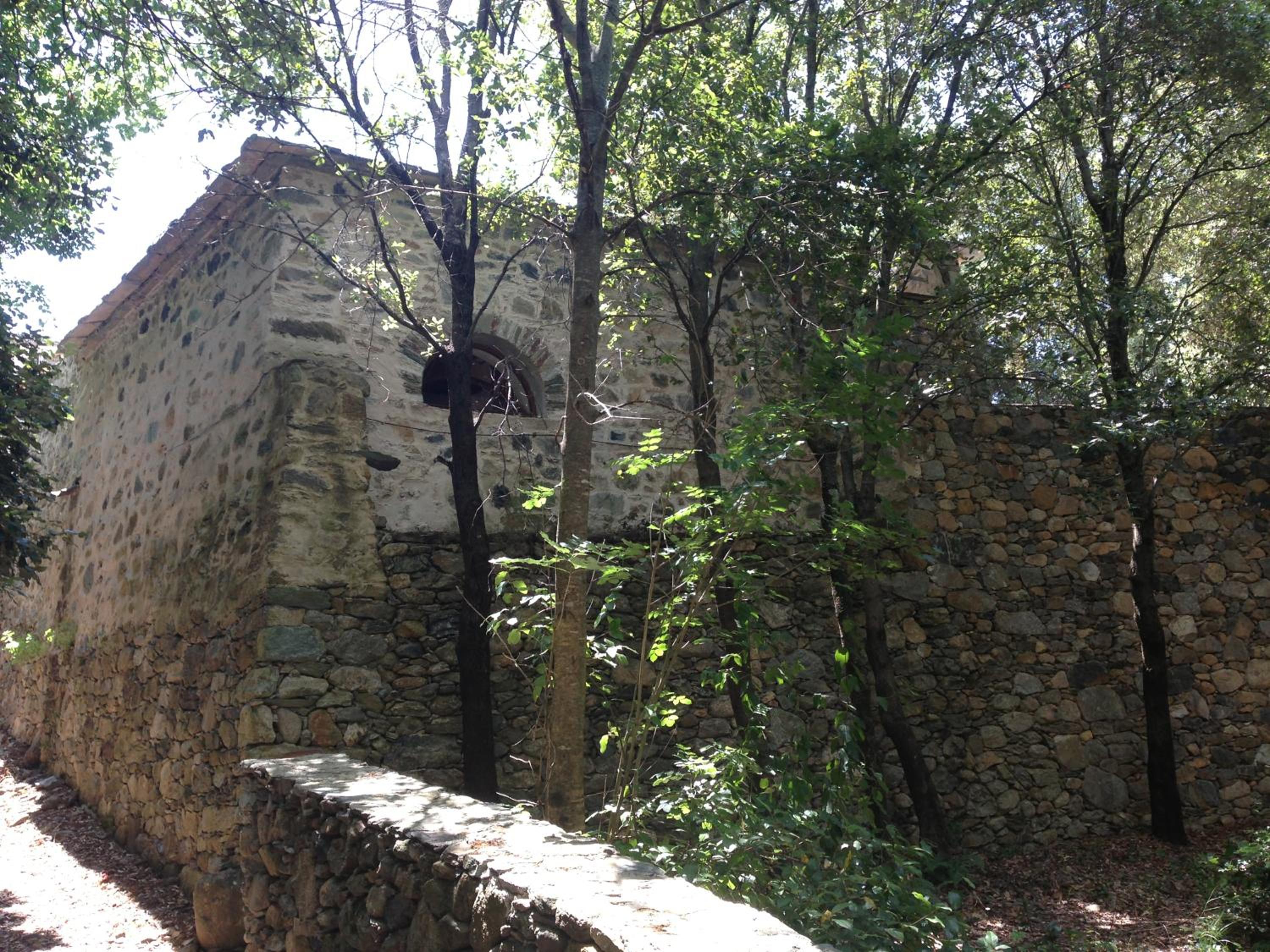 Photo 46