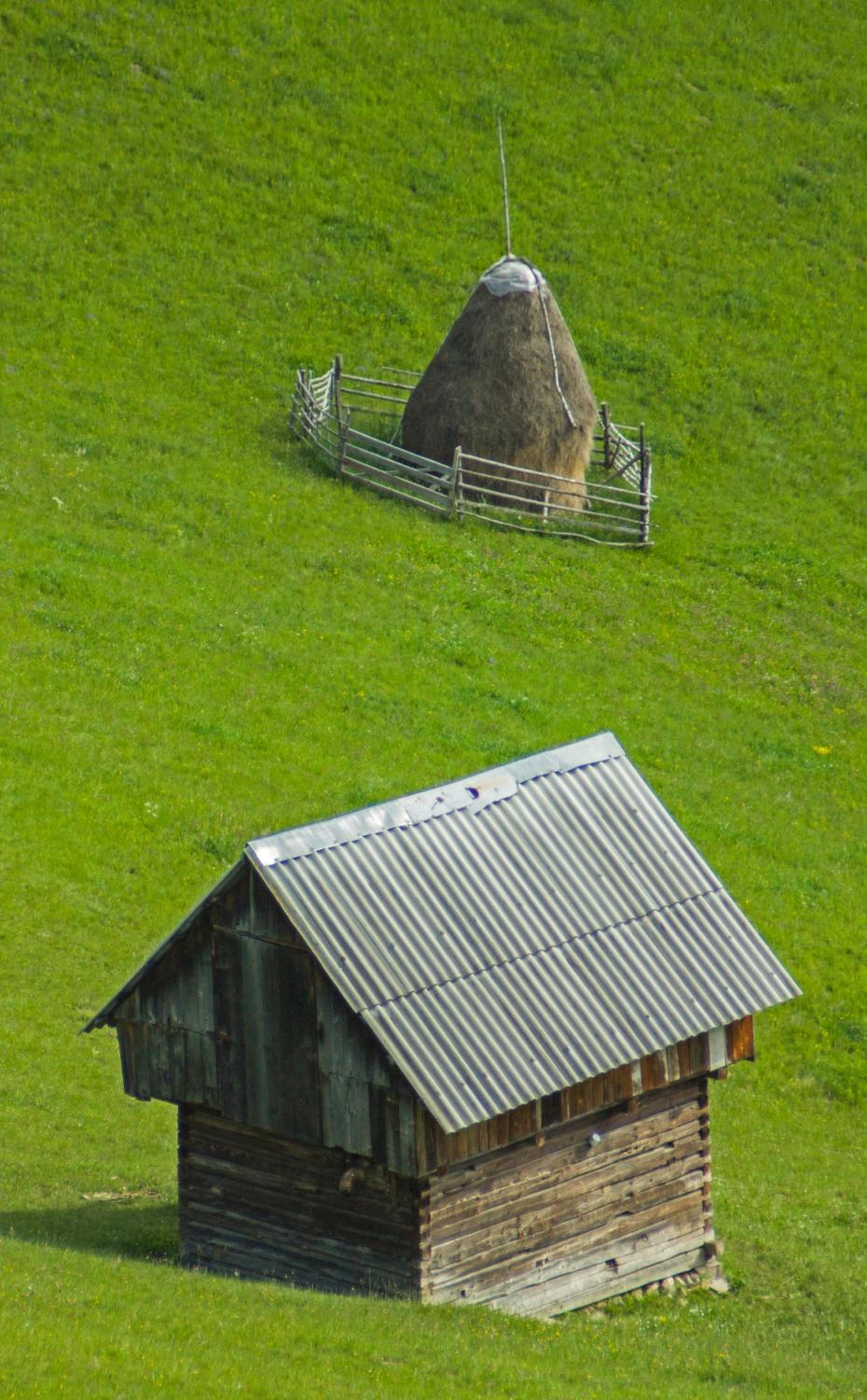 Photo 41