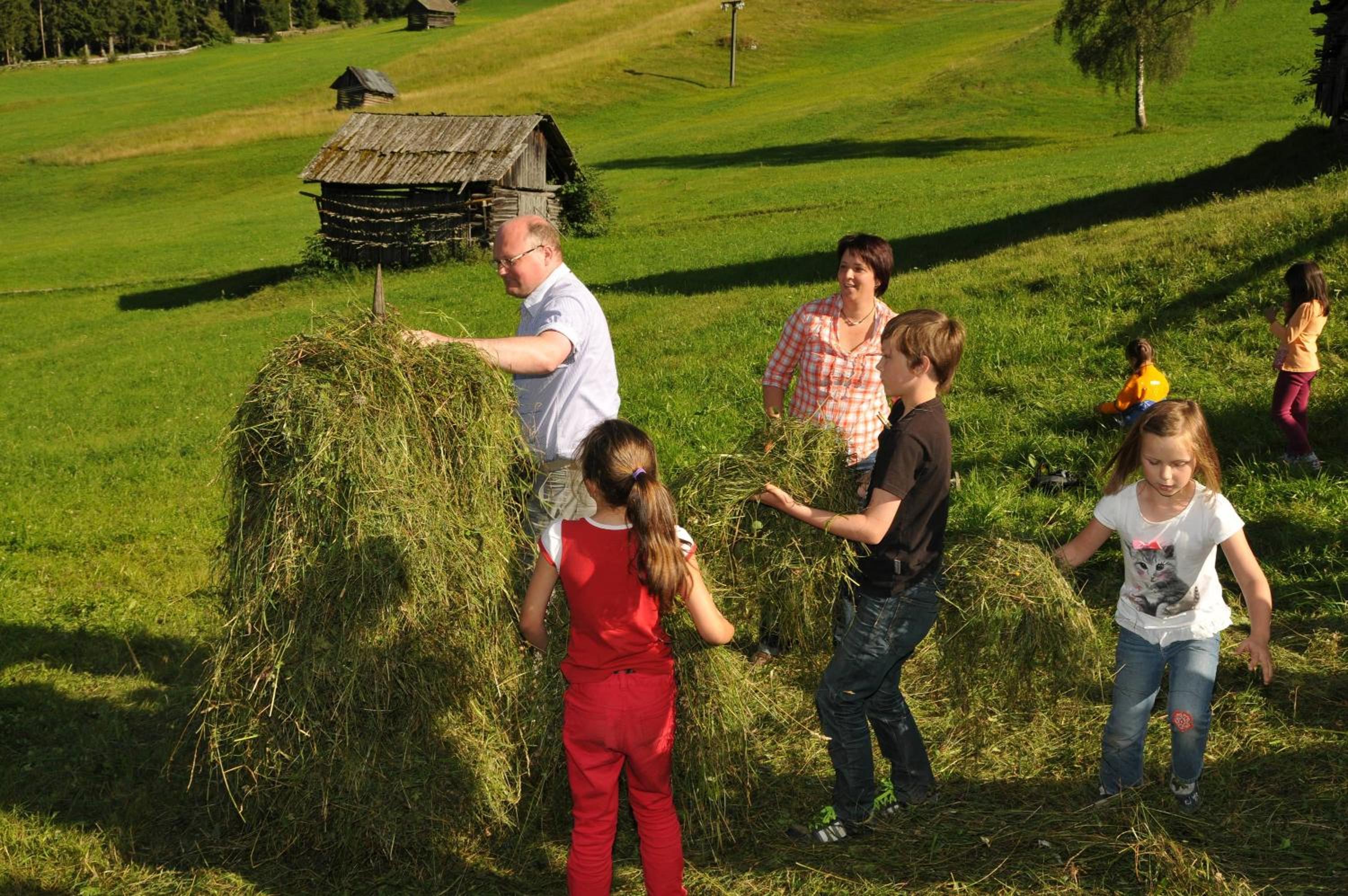Tobadillerhof