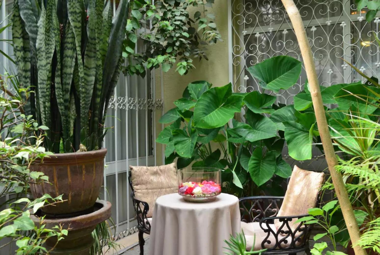 Dickinson Guest House, Guadalajara Expo