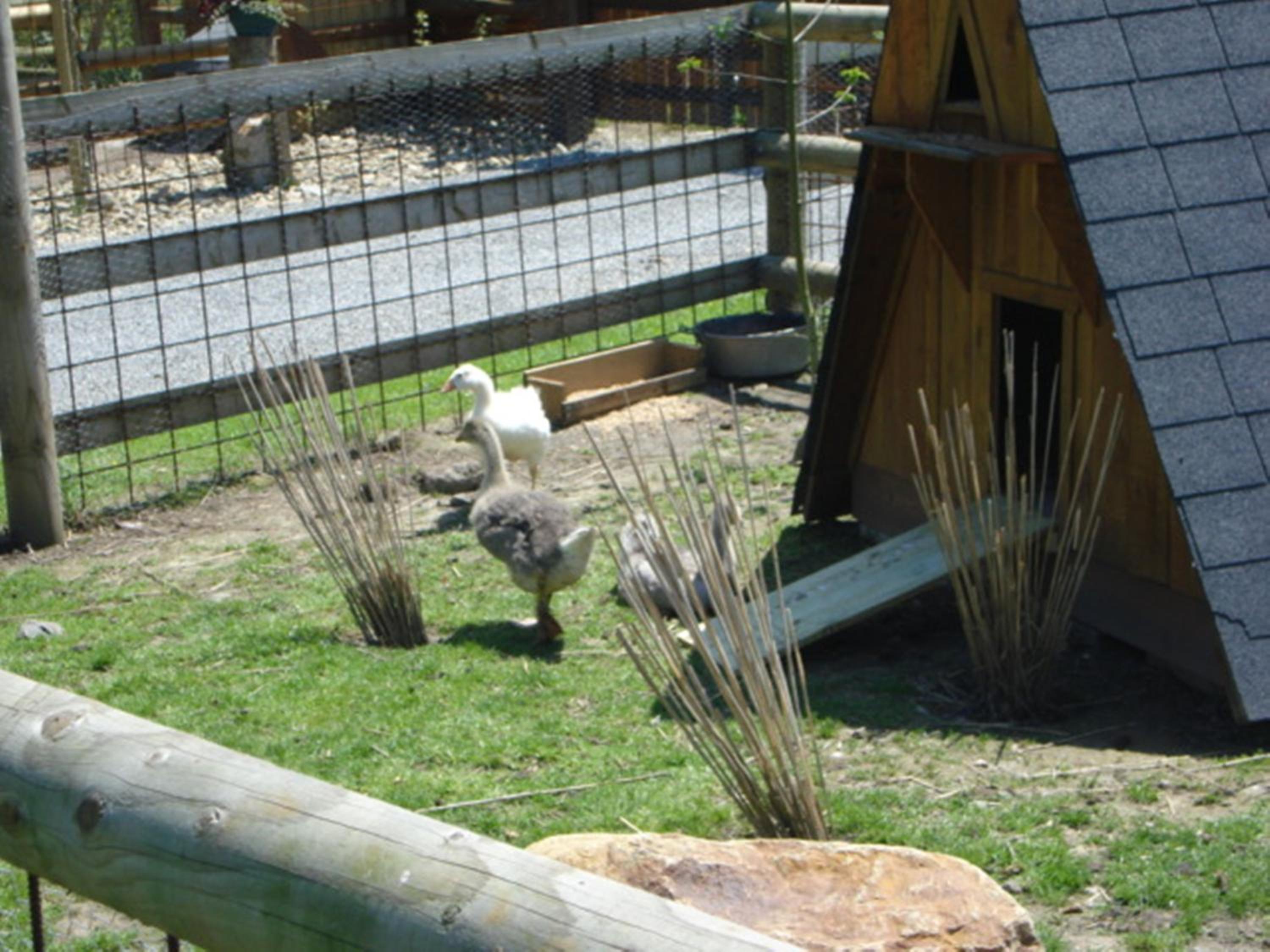 Photo 21