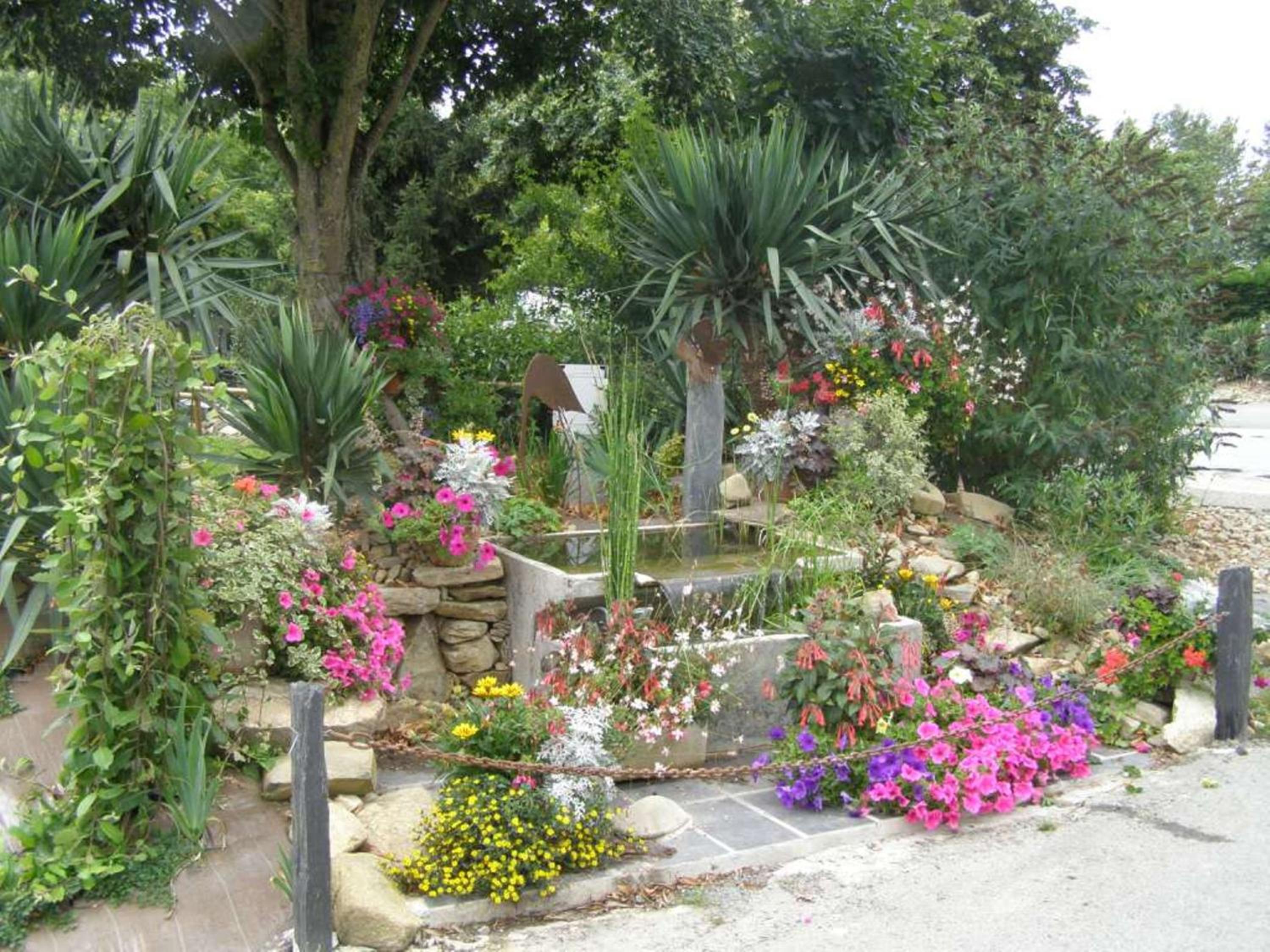 Photo 20