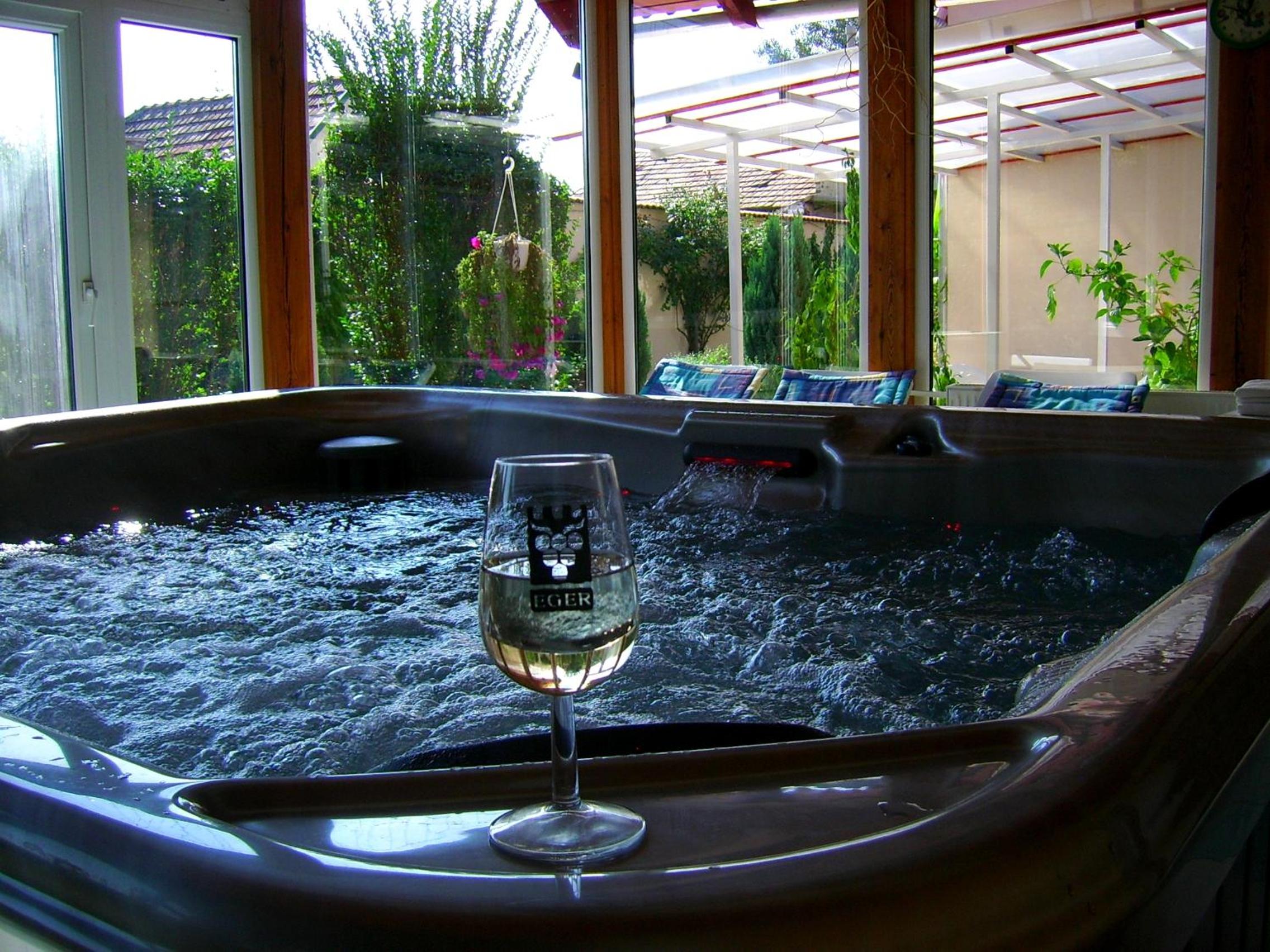 Agria Wellness Guesthouse view 4