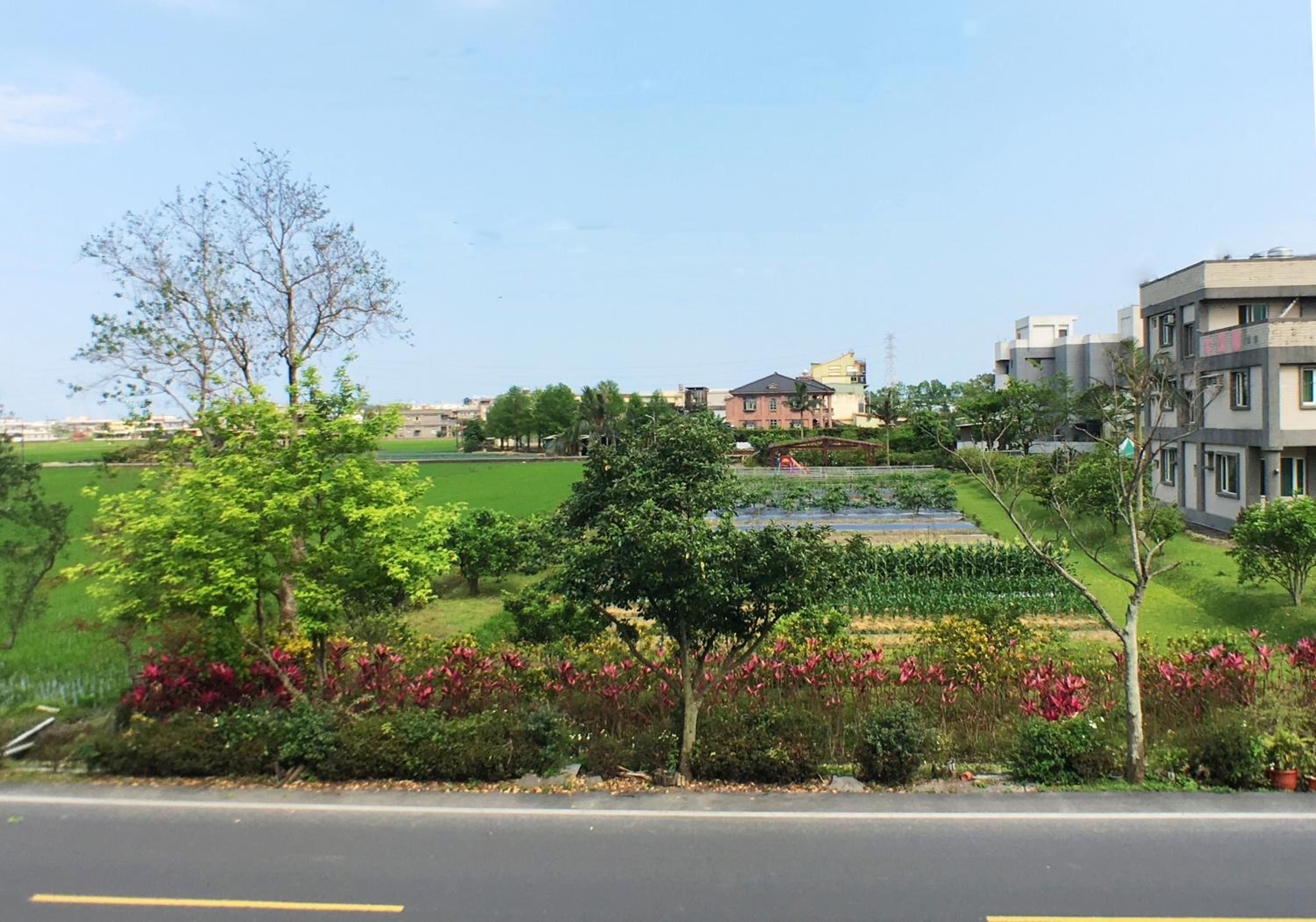 Laughter Habitat