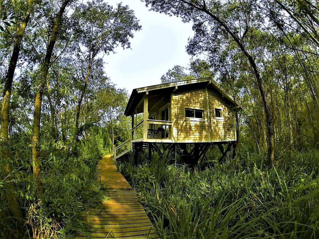 Bajos del Paraná