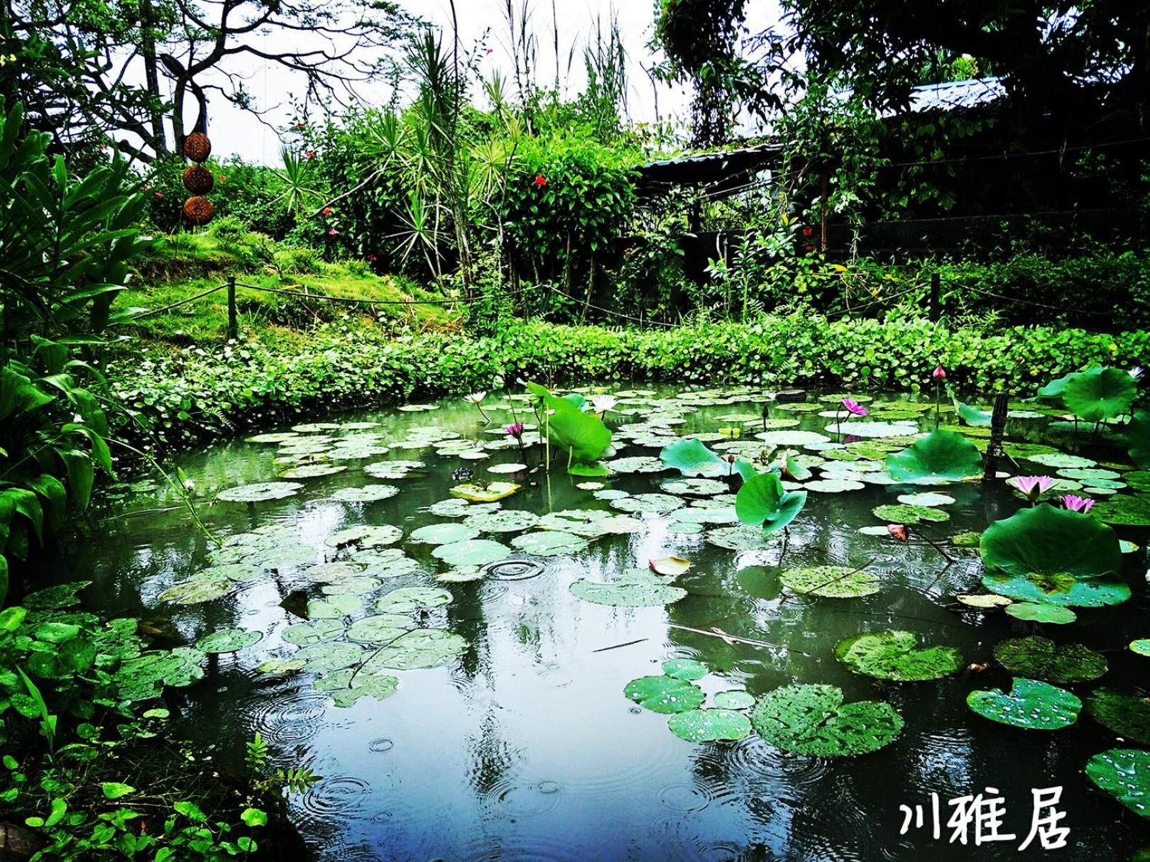 Photo 24