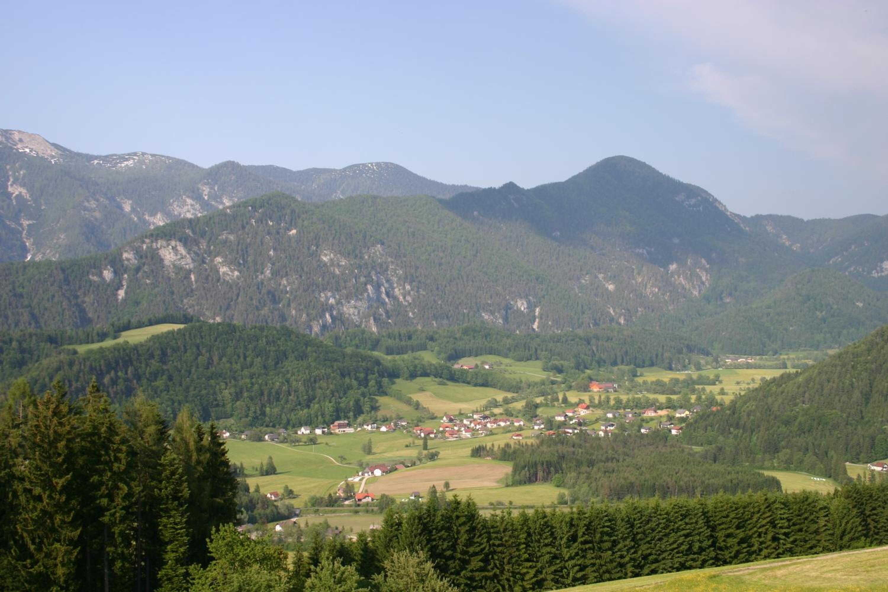 Photo 47