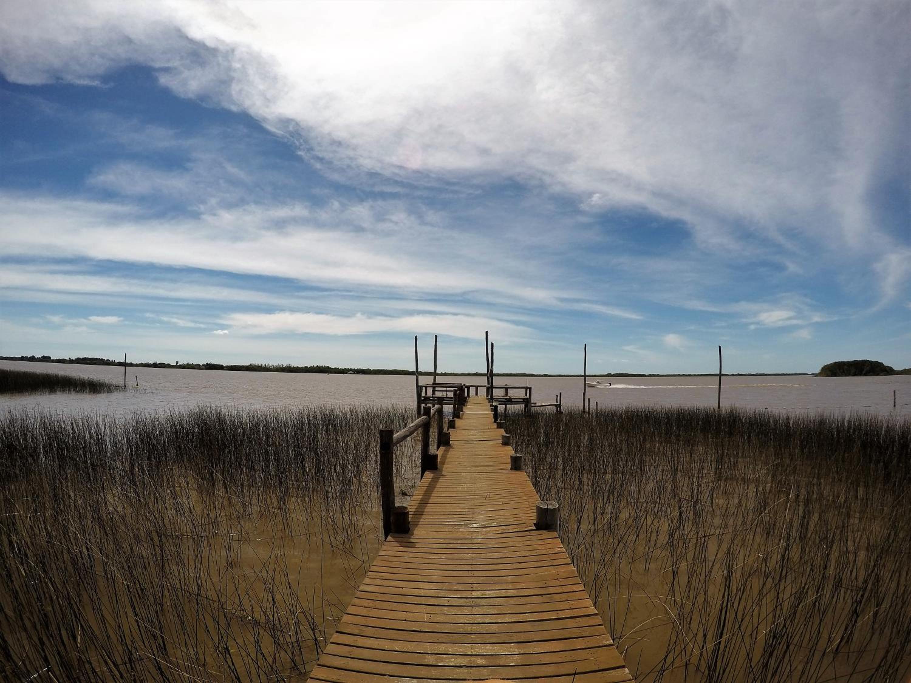 Bajos del Paraná