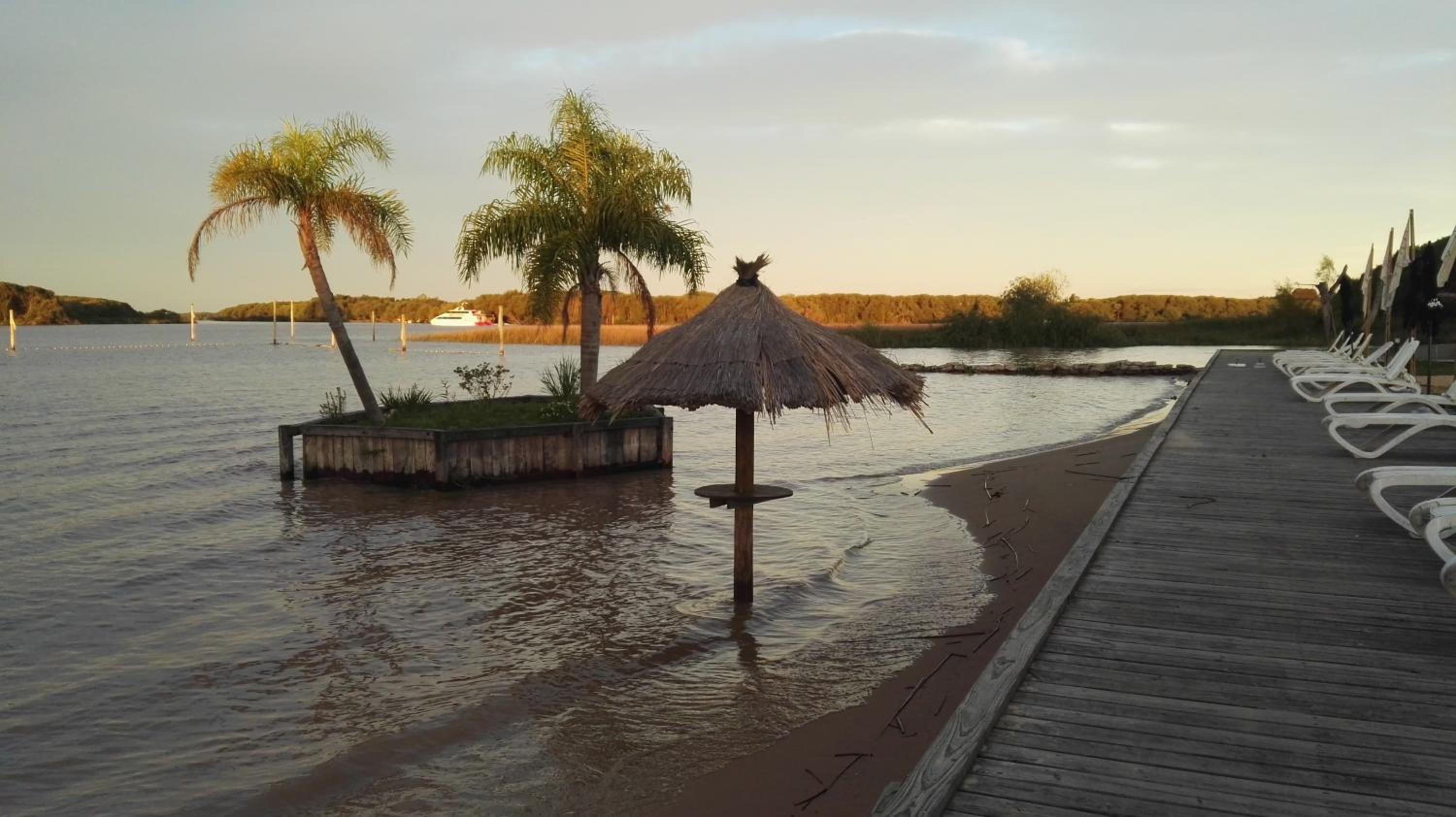 Bajos del Paraná