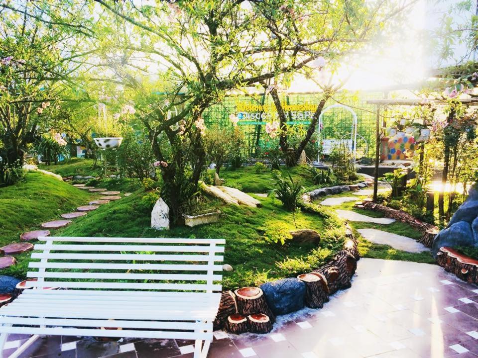 Homestay Discovery Sapa