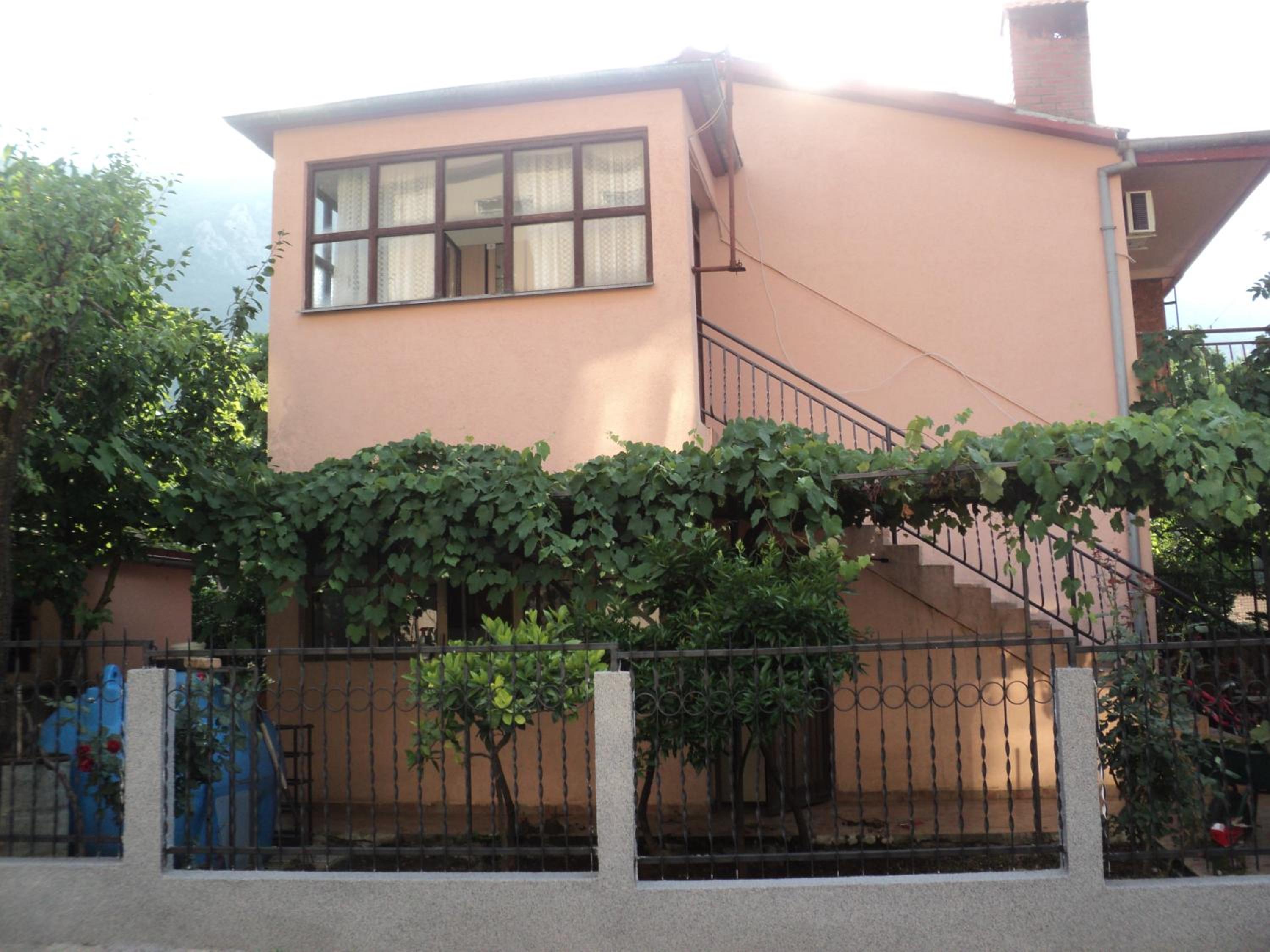 Photo 45