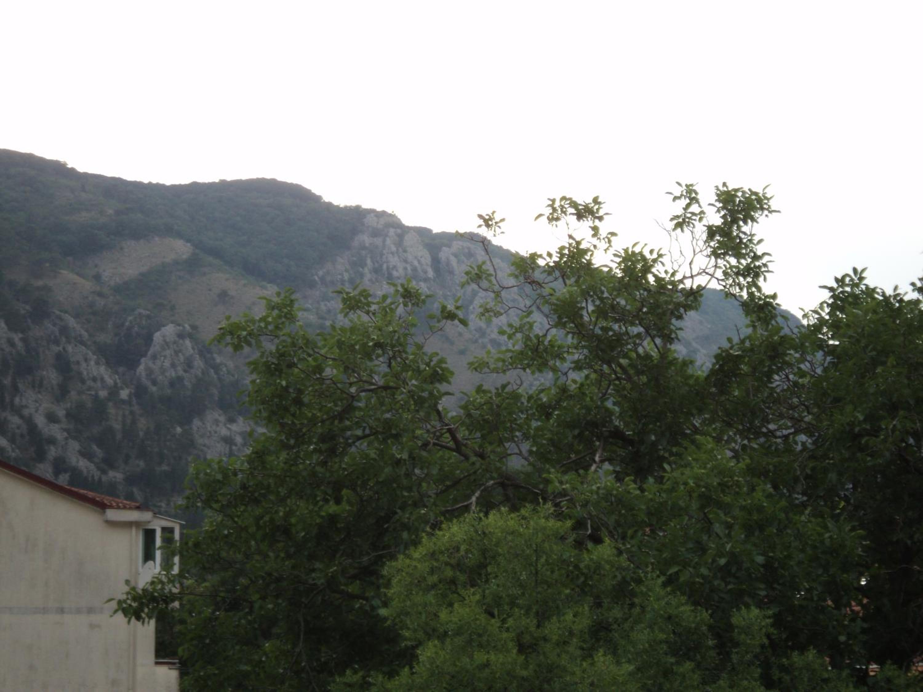 Photo 59
