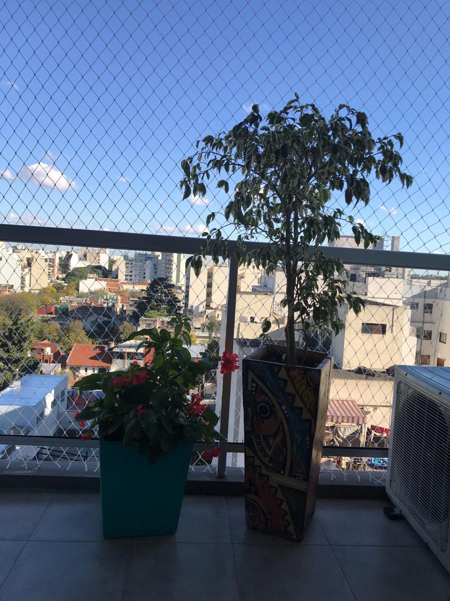 Amazing Apartament
