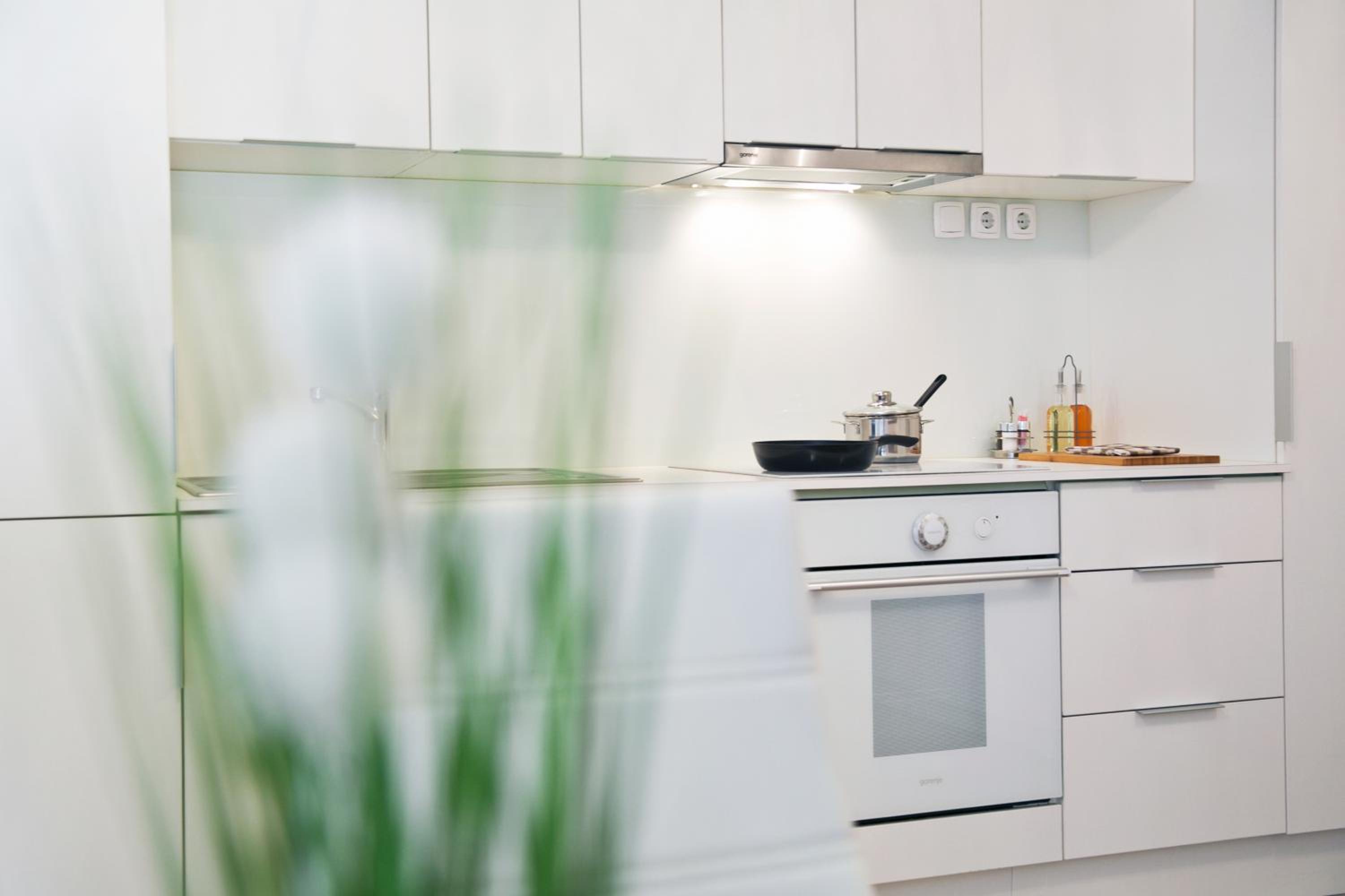 Apartments Hiša Pod Gradom