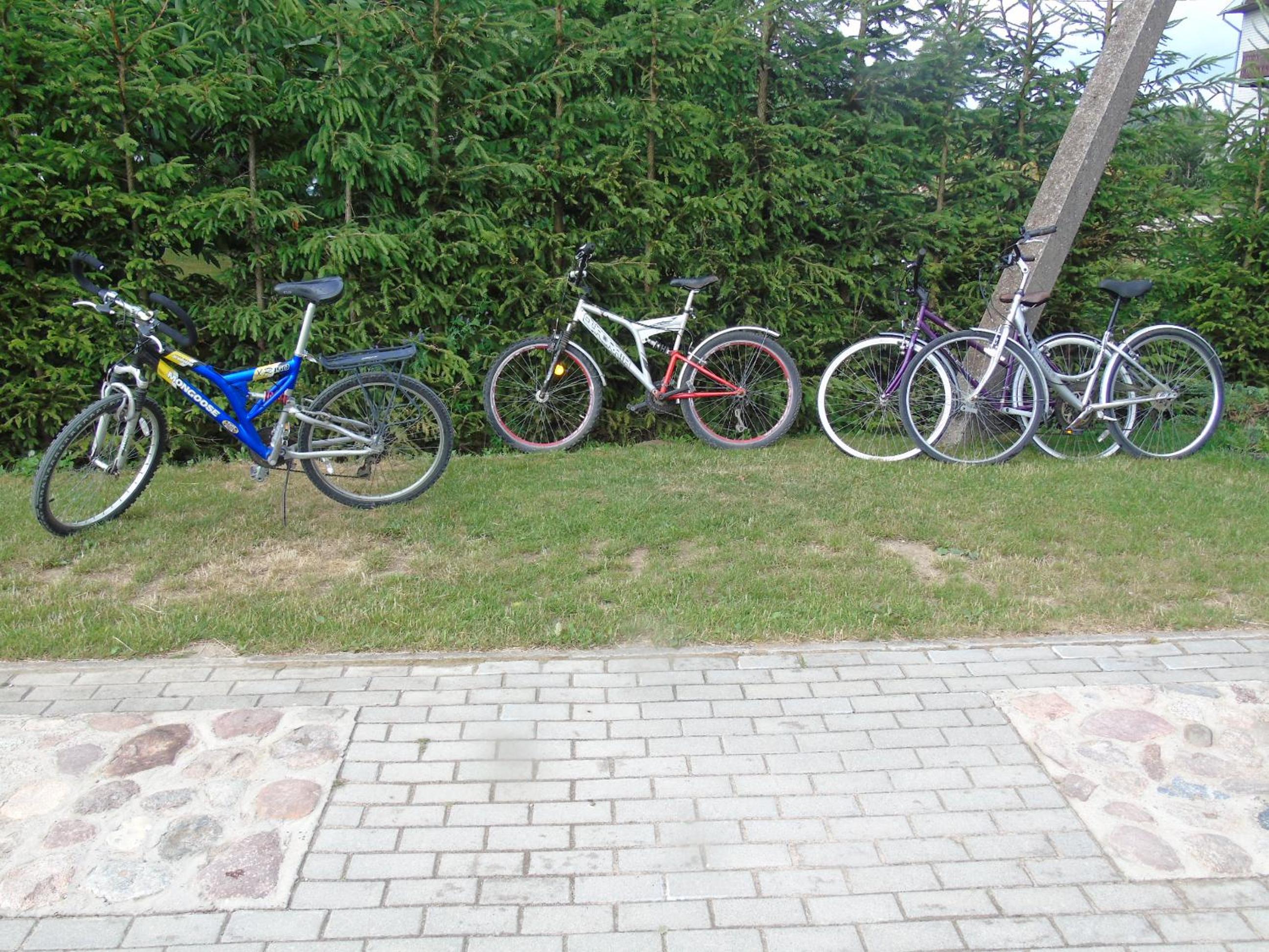Photo 49