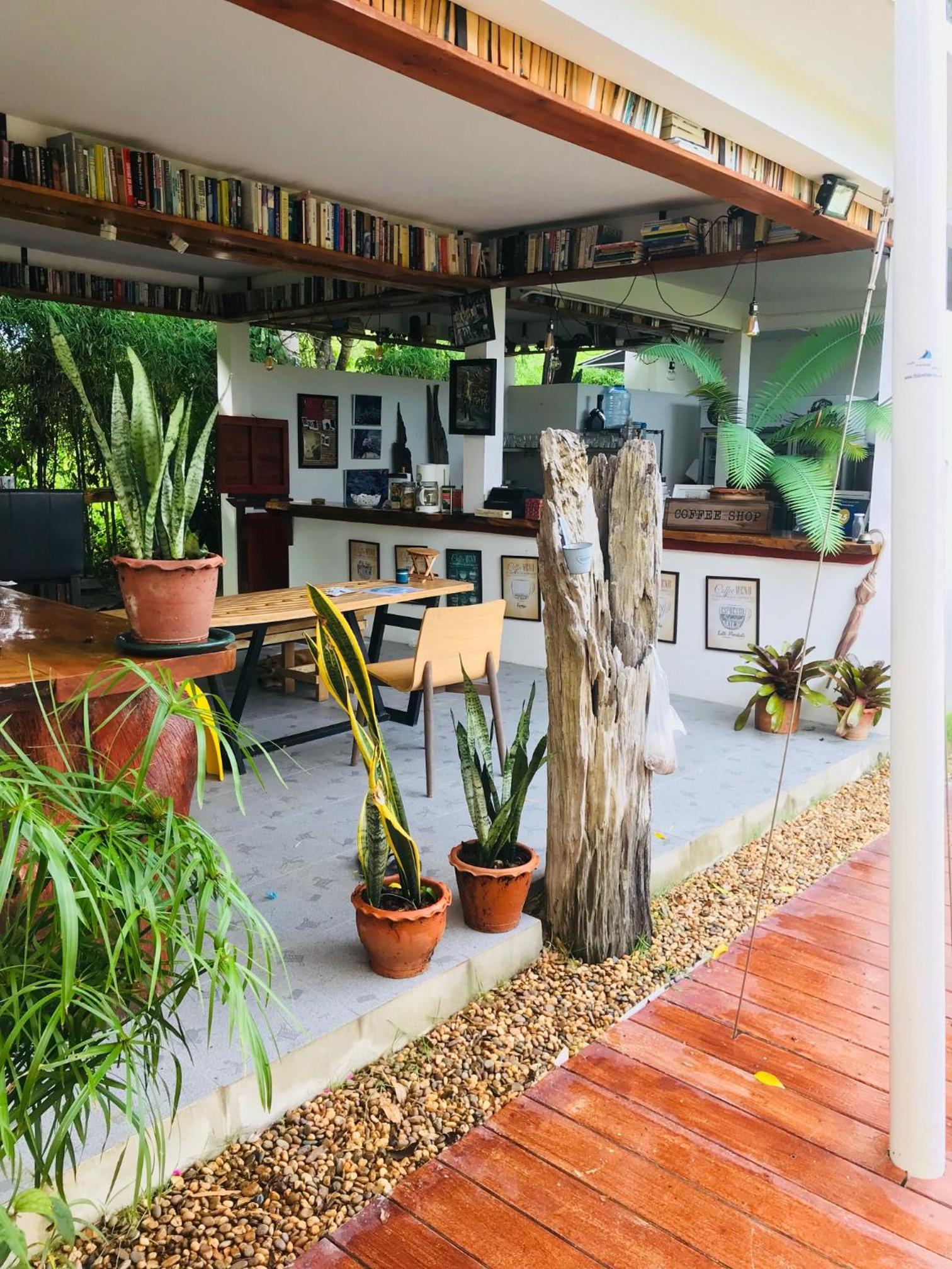 Tree Roots Retreat