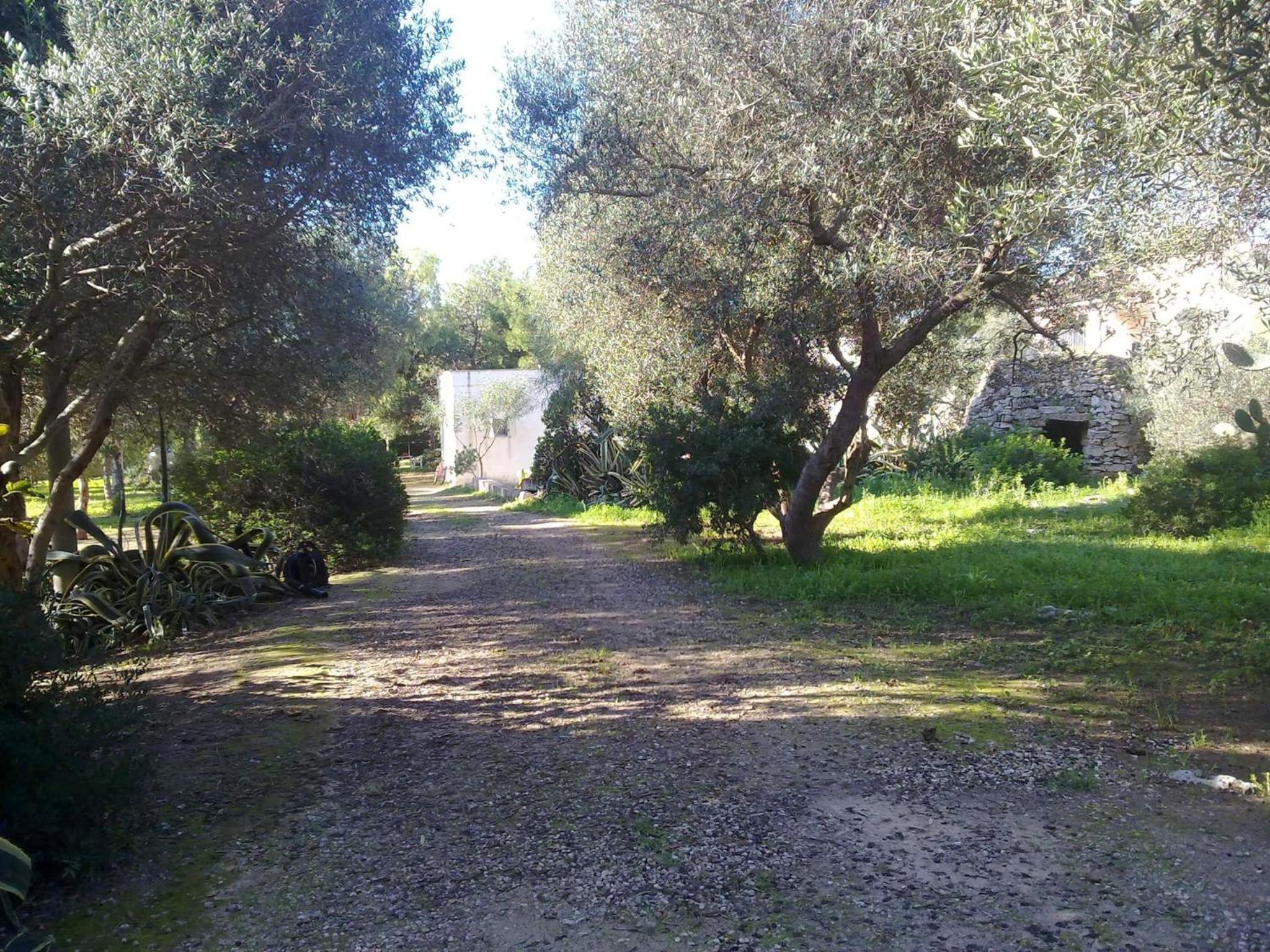 Agriturismo Palese
