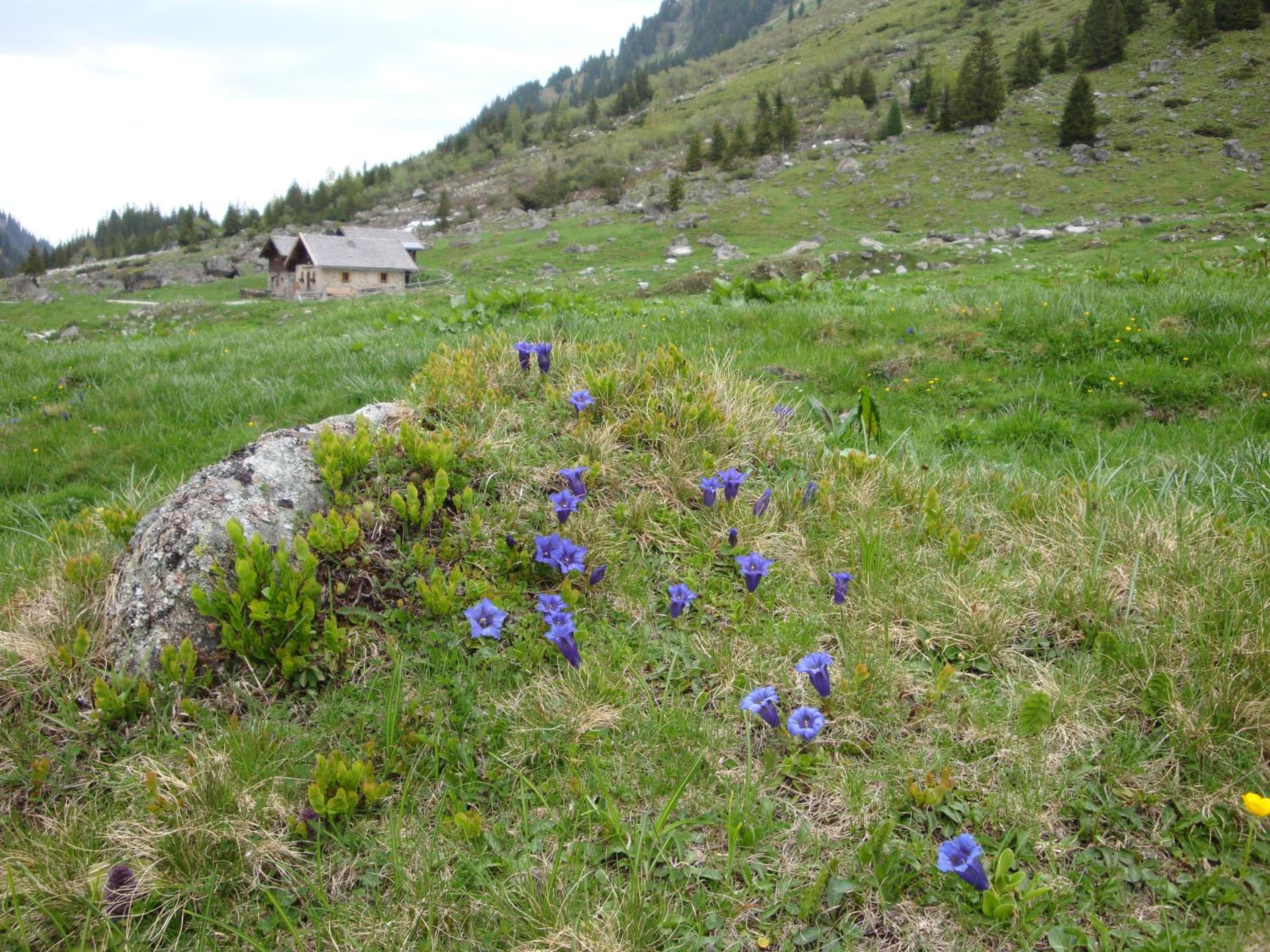 Photo 10