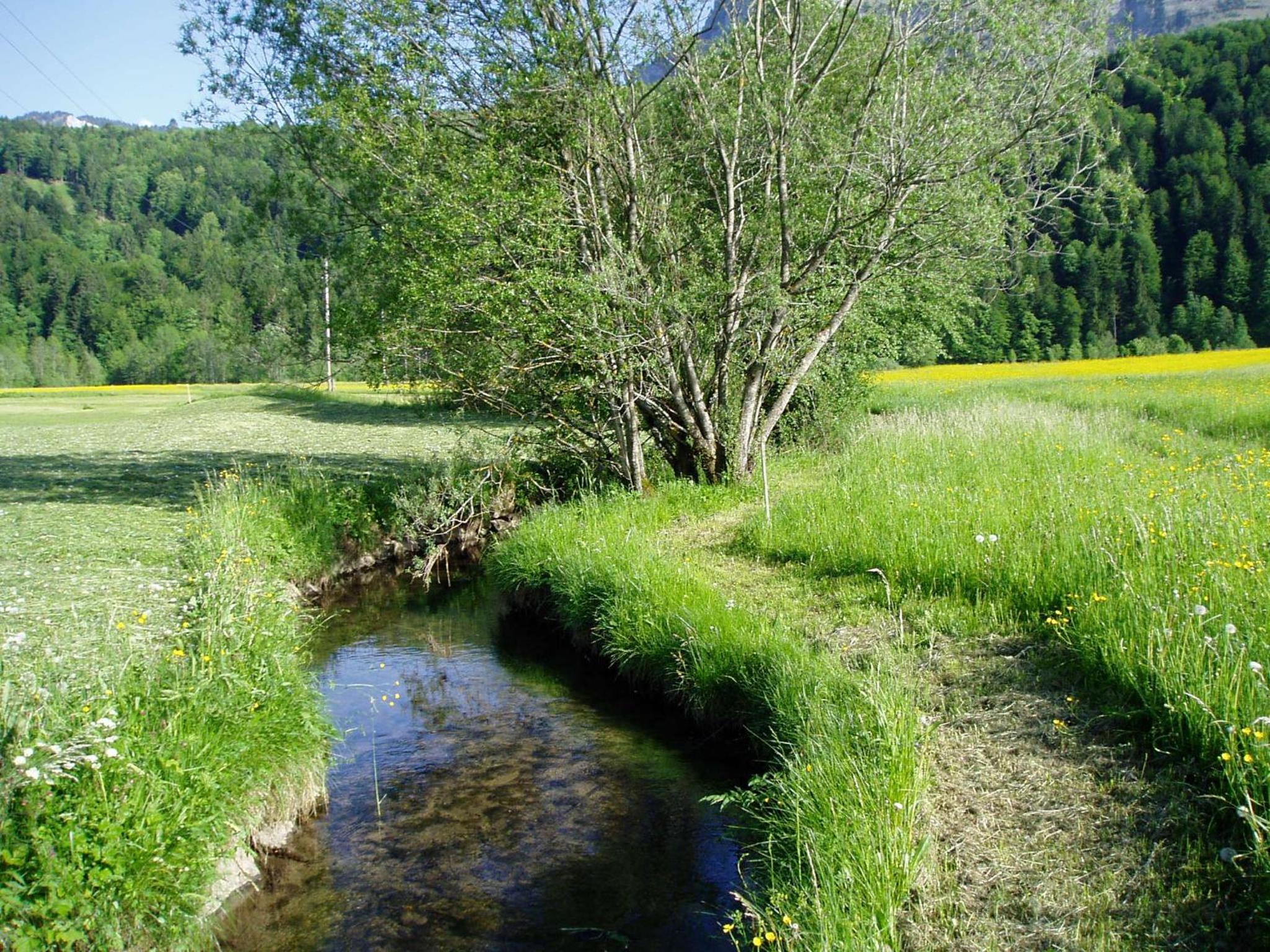 Gasthof Taube
