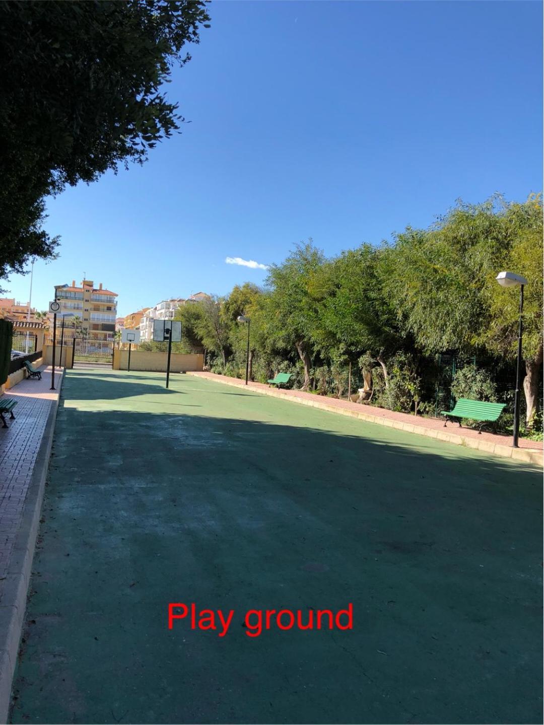 Photo 31