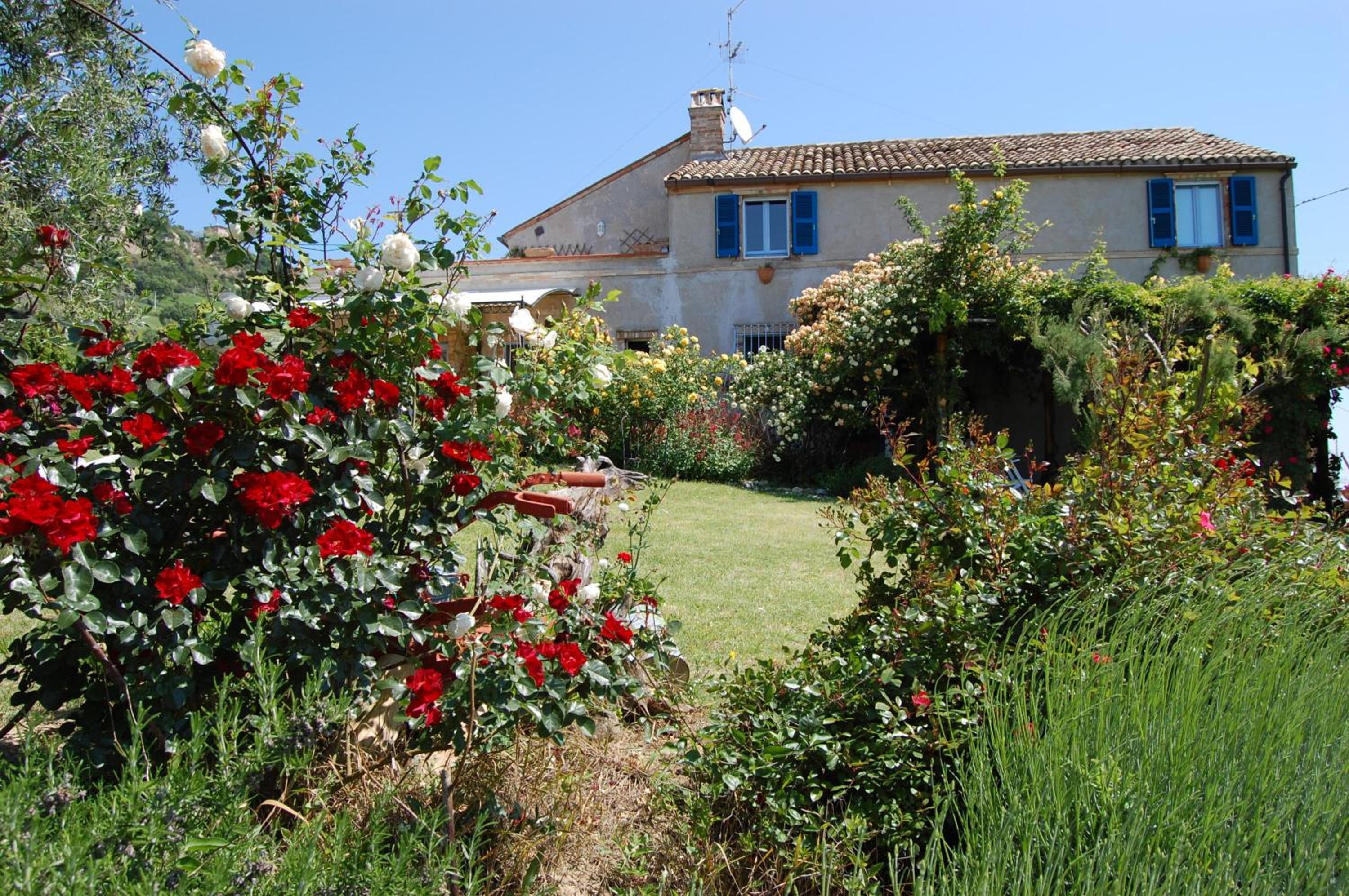 B&B Vento di Rose