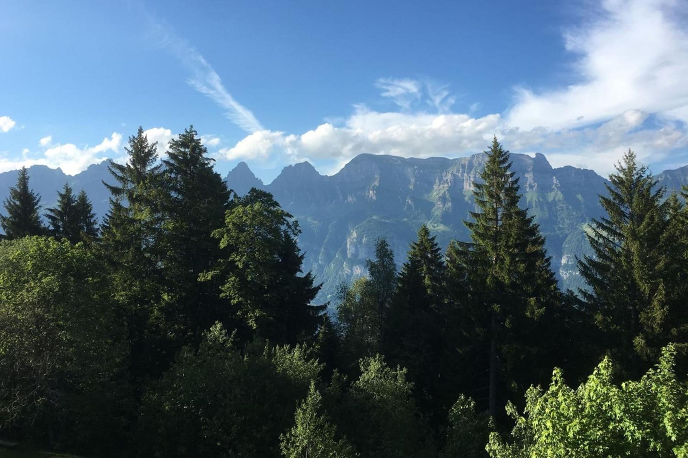 Apartmenthaus Gauenpark - CharmingStay