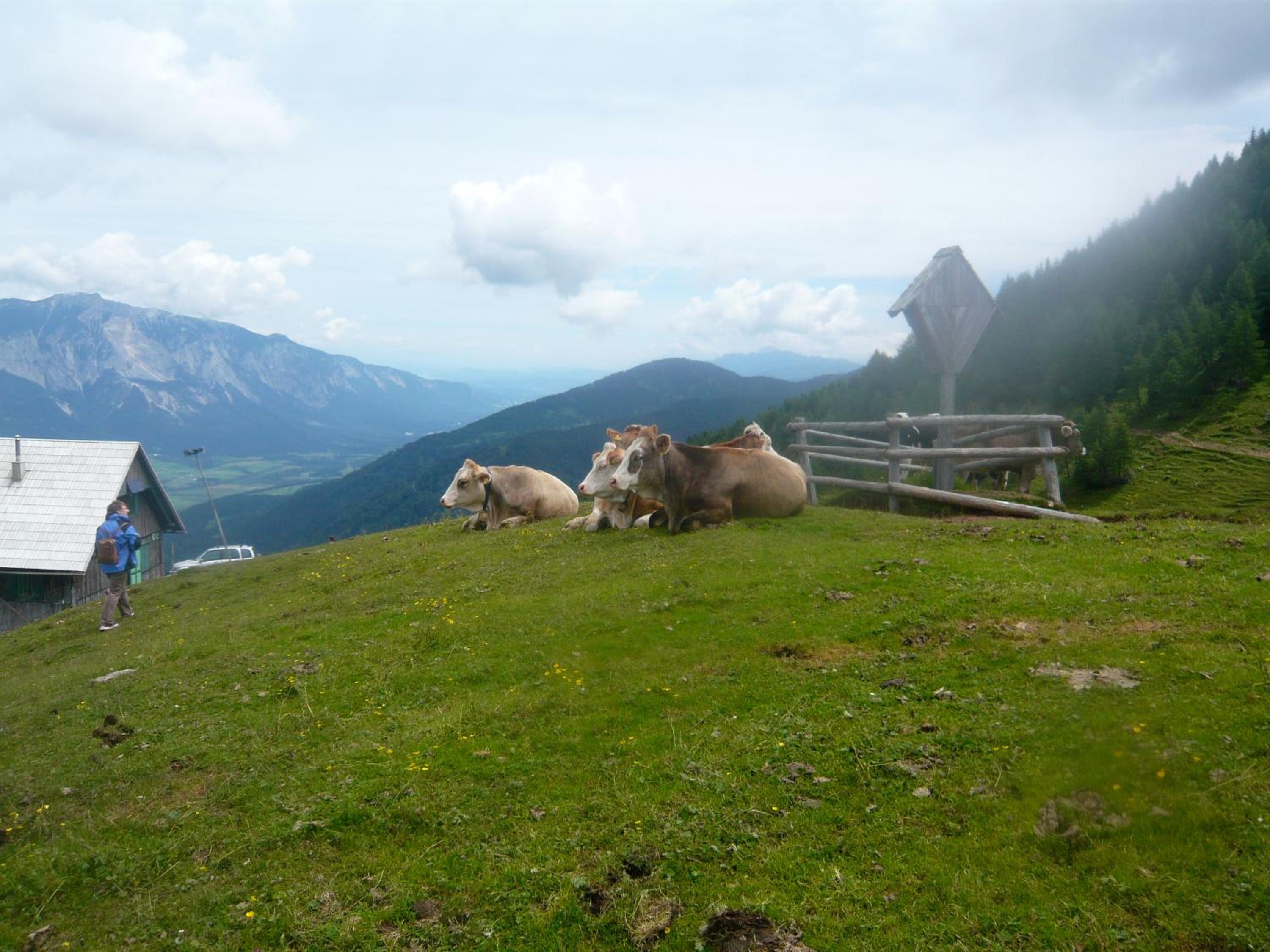 Photo 19