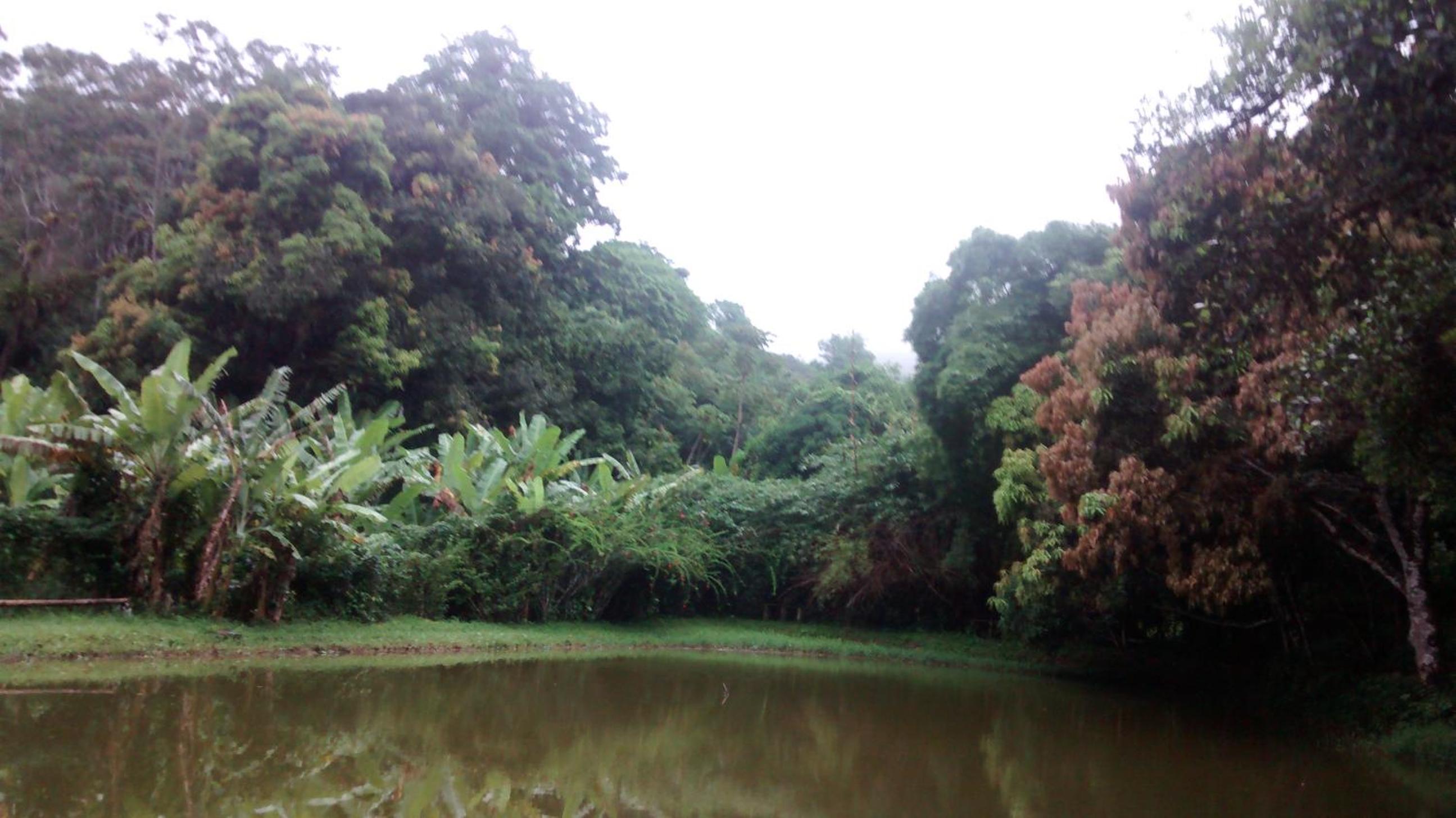 Estancia Vale das Flores