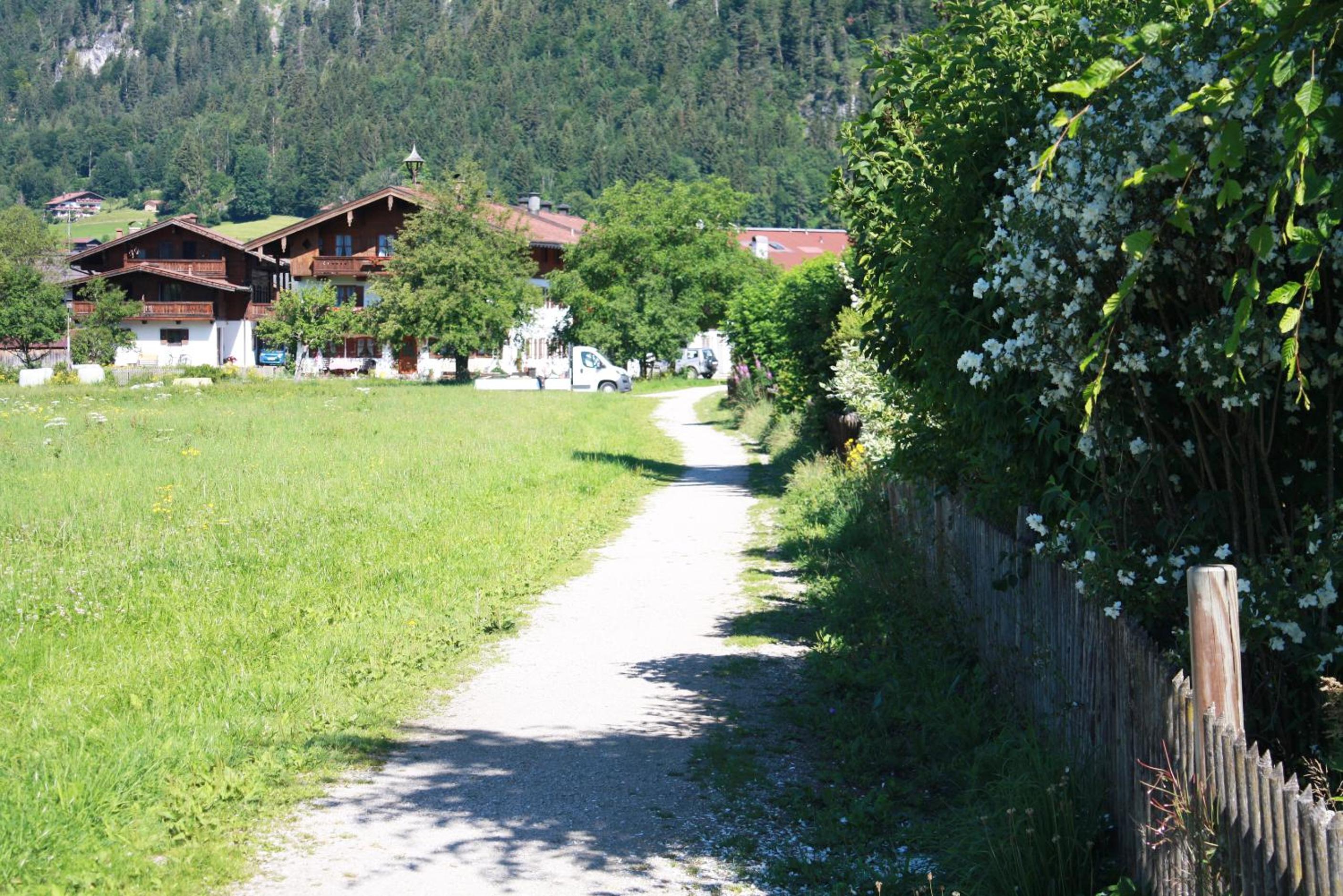 Photo 50