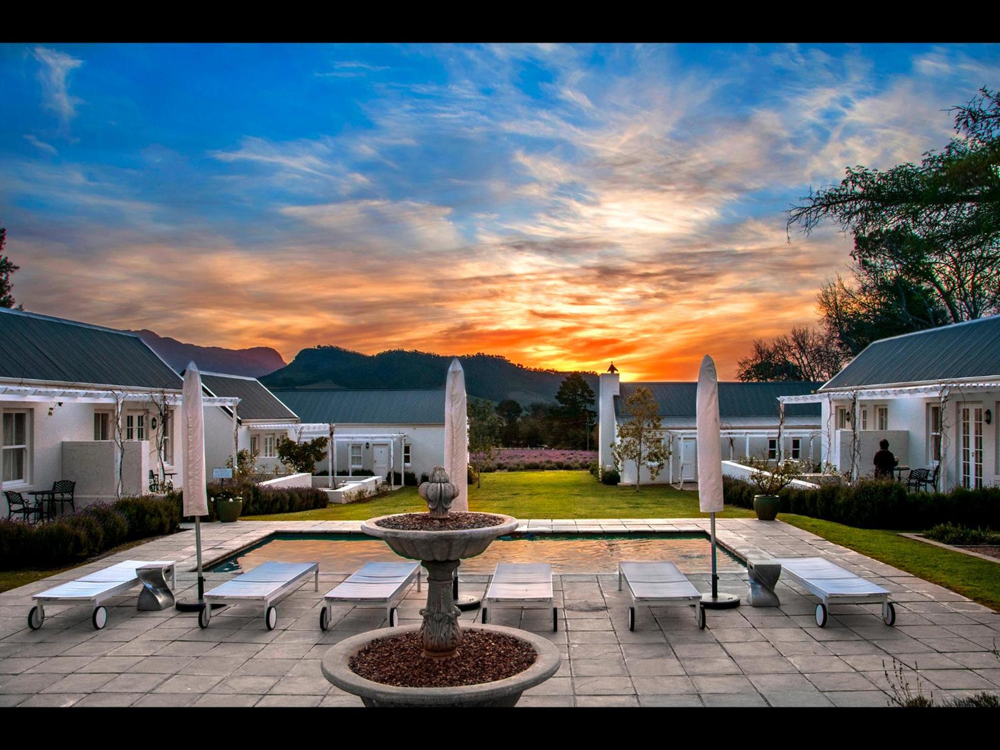 Lavender Farm Boutique Guest House