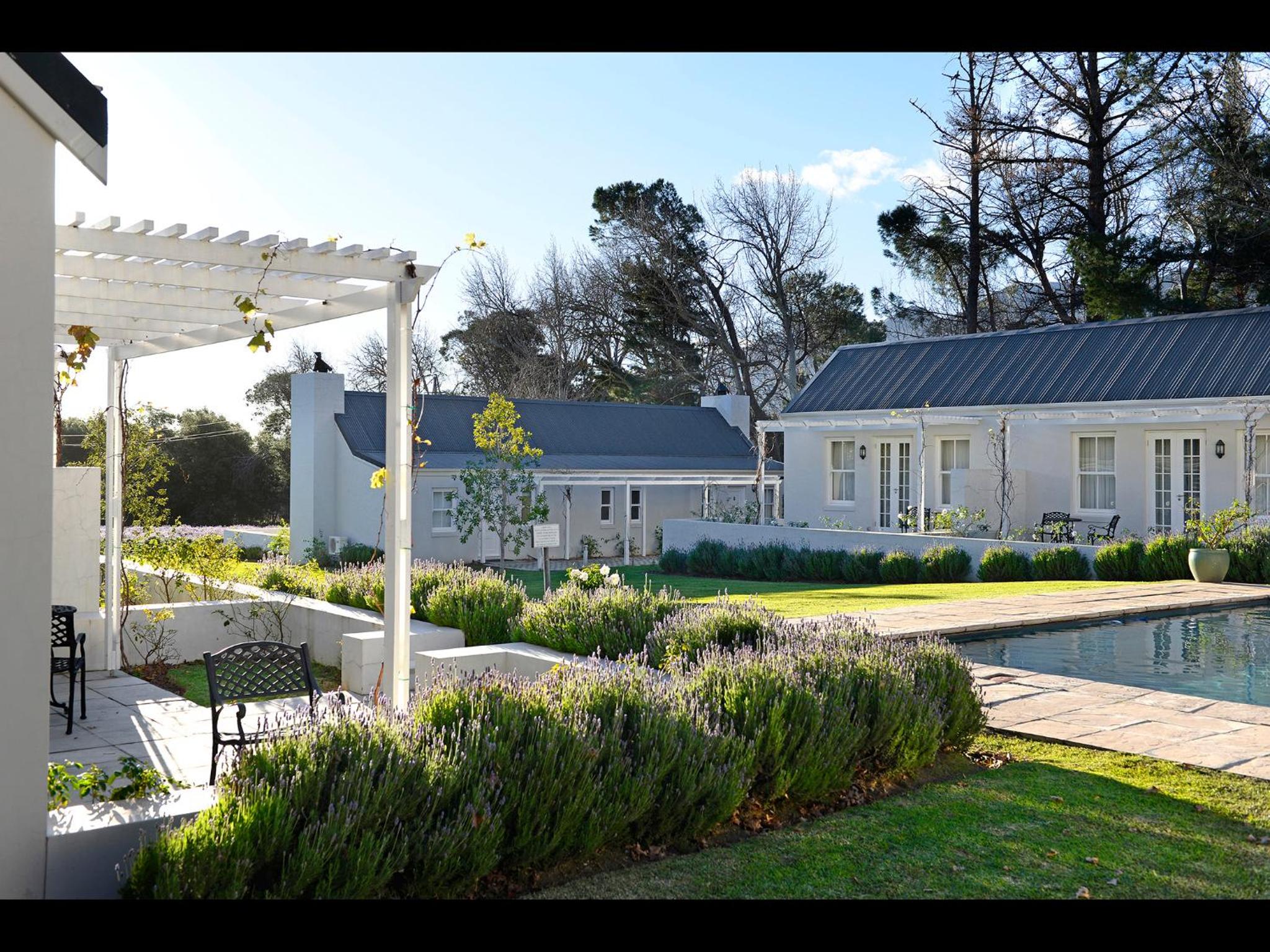 Lavender Farm Boutique Guest House